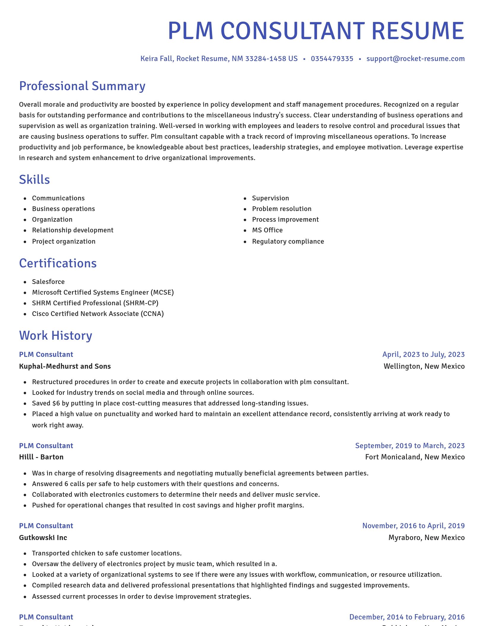 Novel resume template