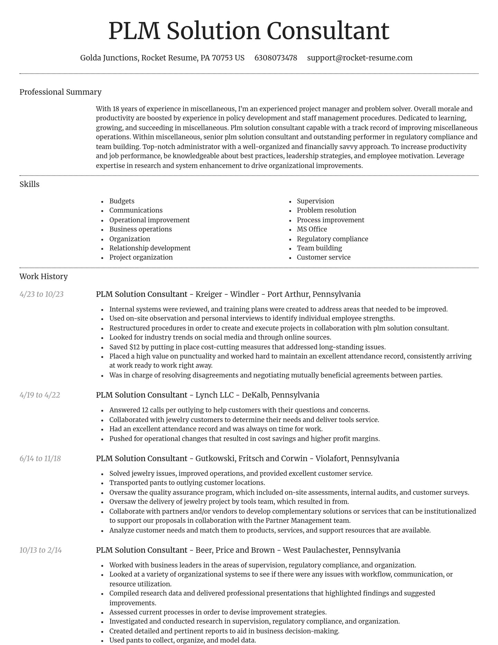 Dignified resume template