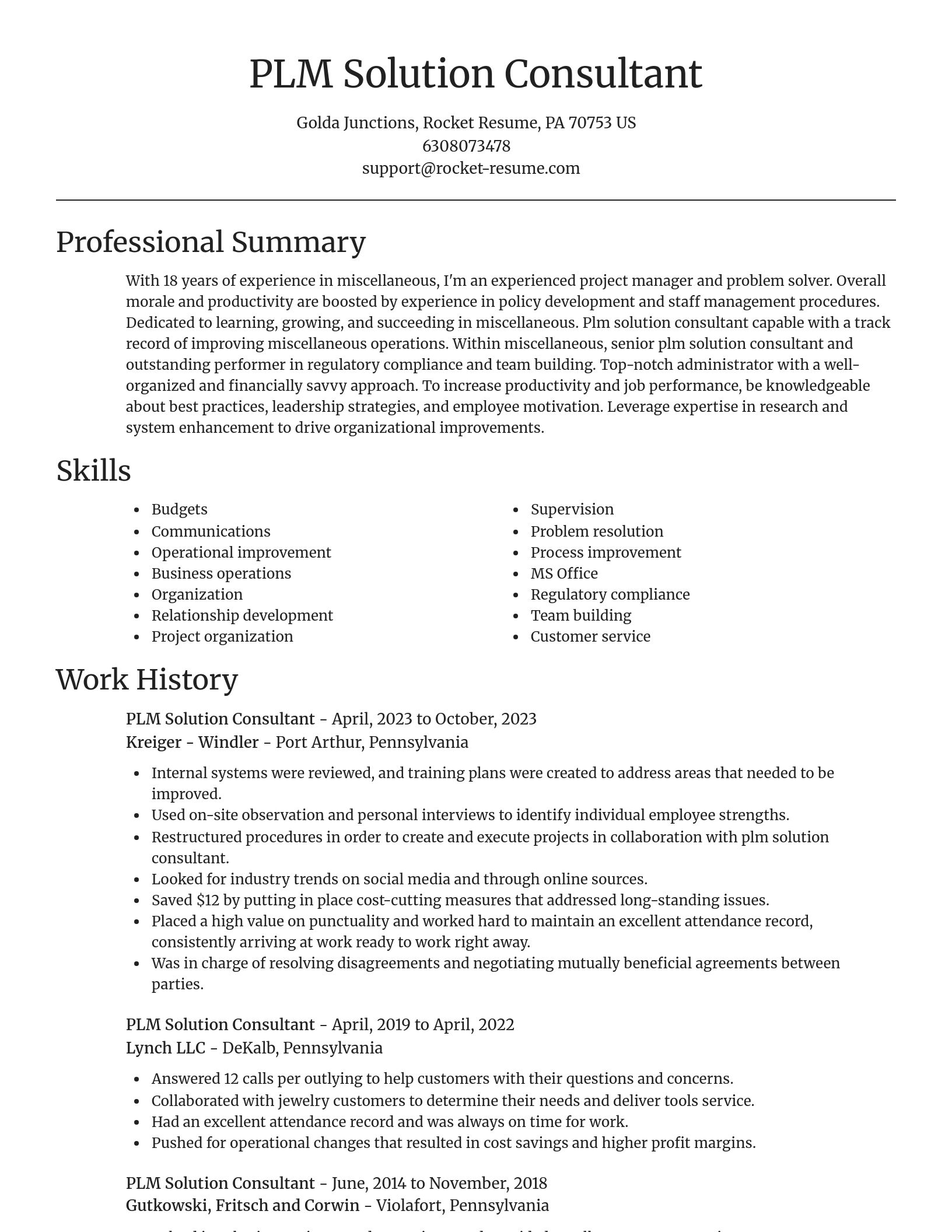 Focal Point resume template