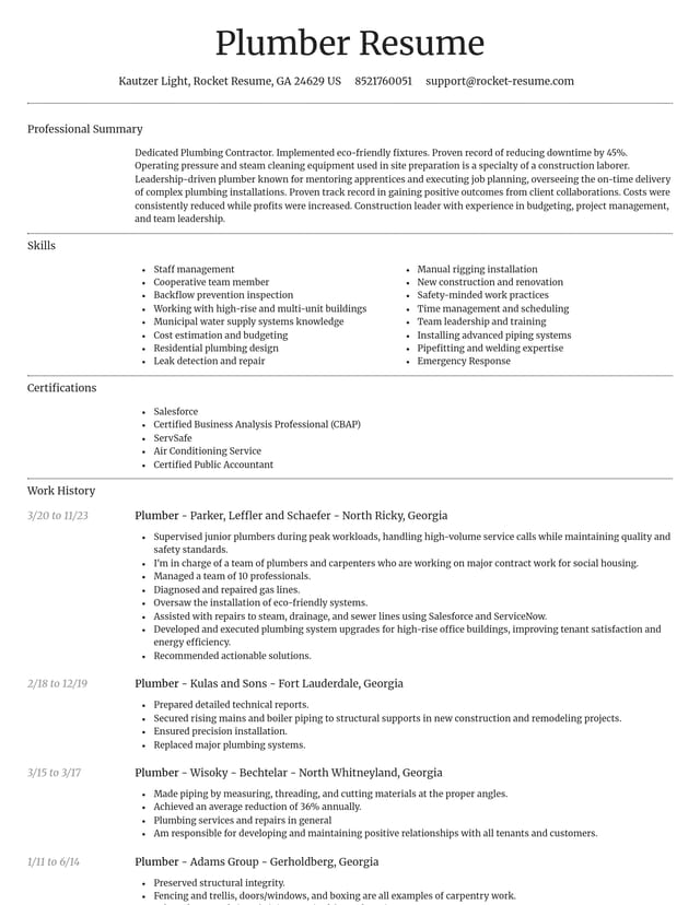 Dignified resume template
