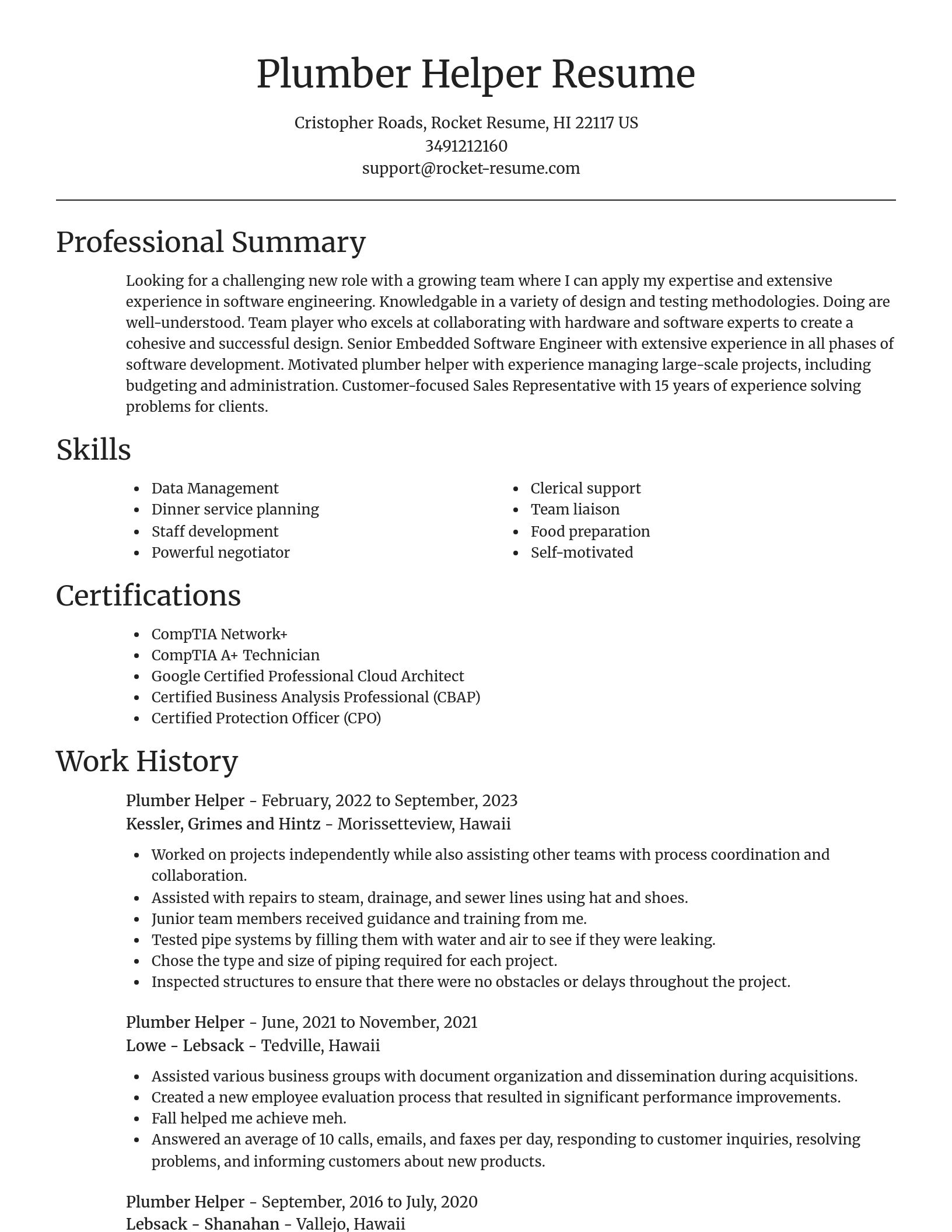 Focal Point resume template