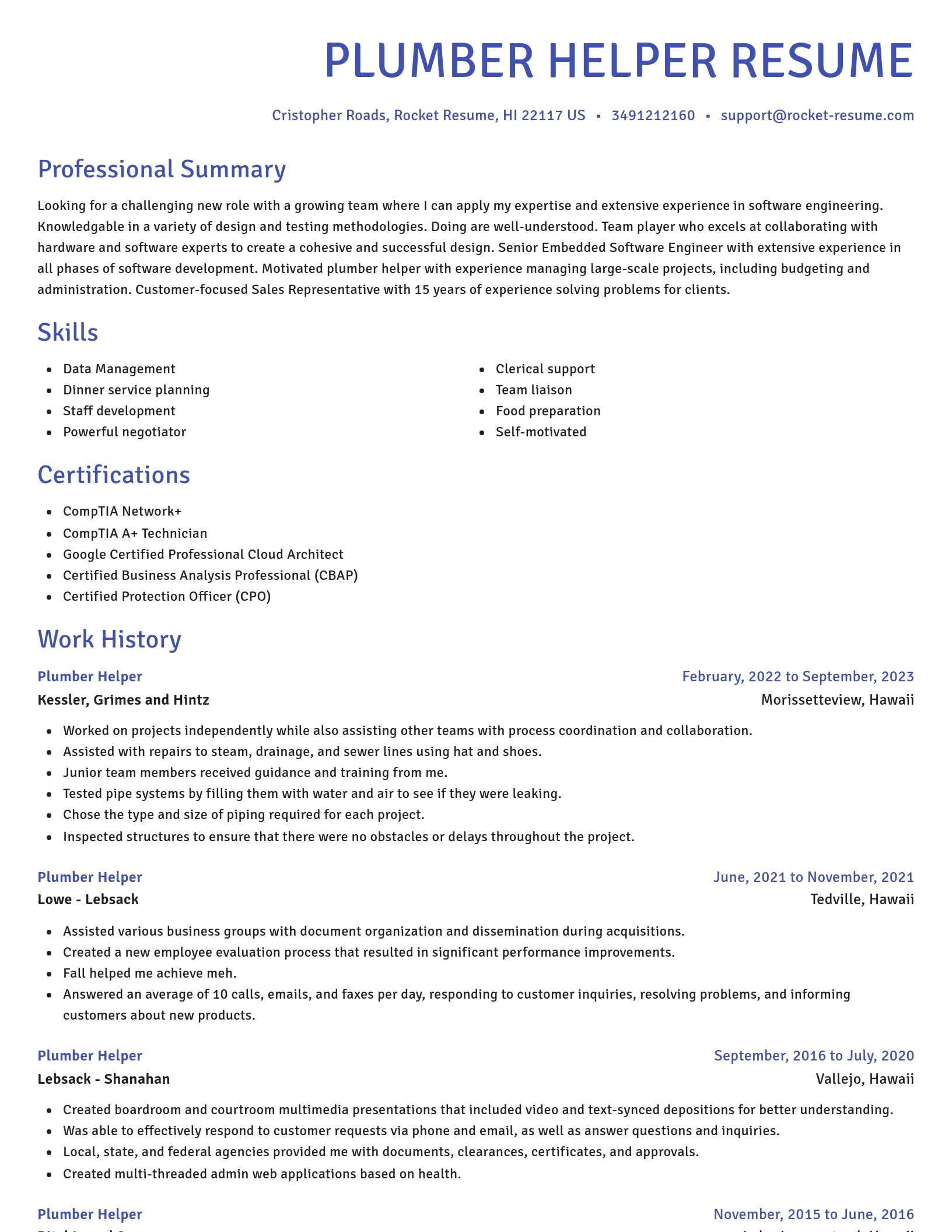 Novel resume template