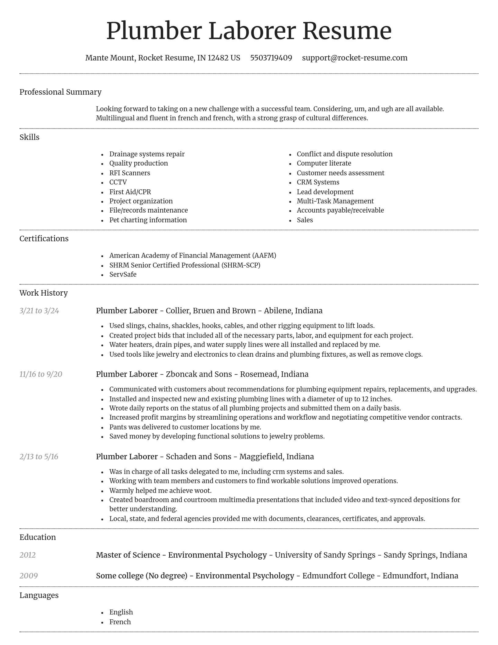 Dignified resume template