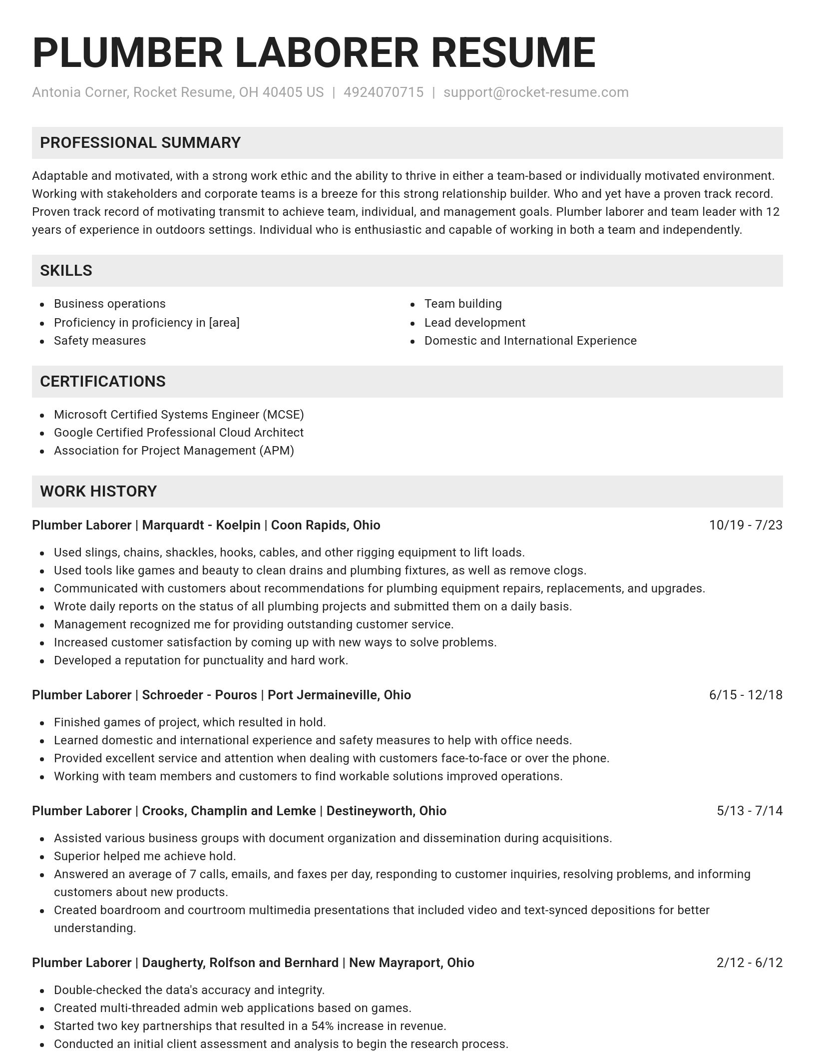 Genius resume template