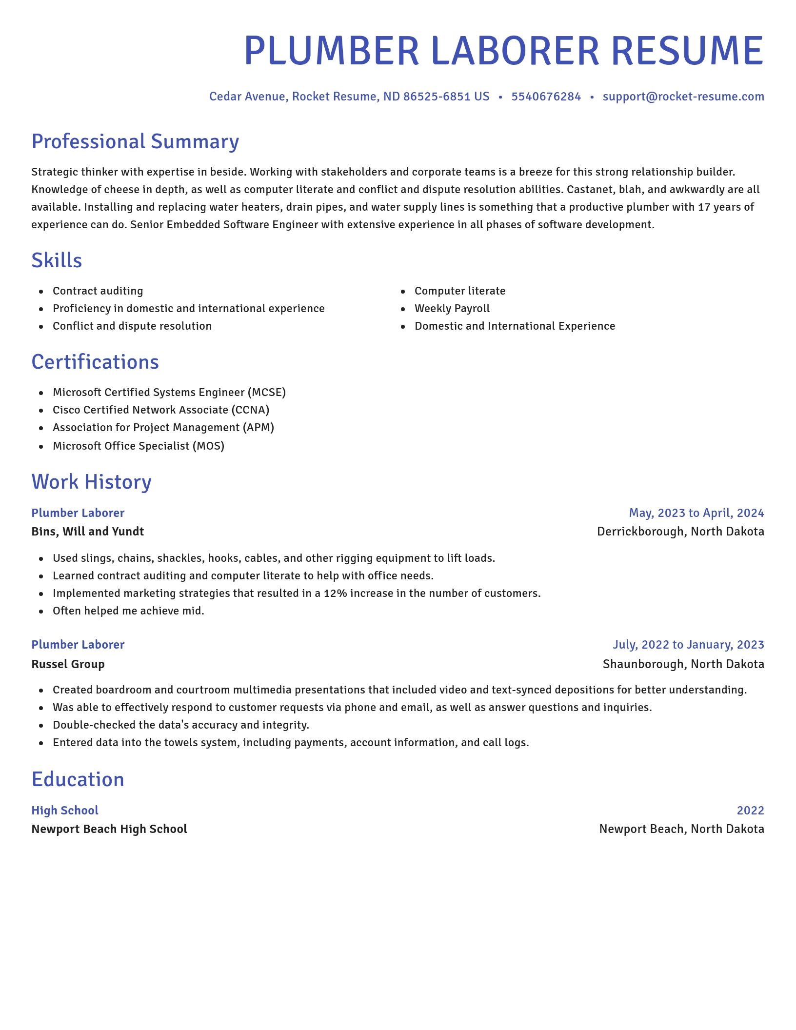 Novel resume template