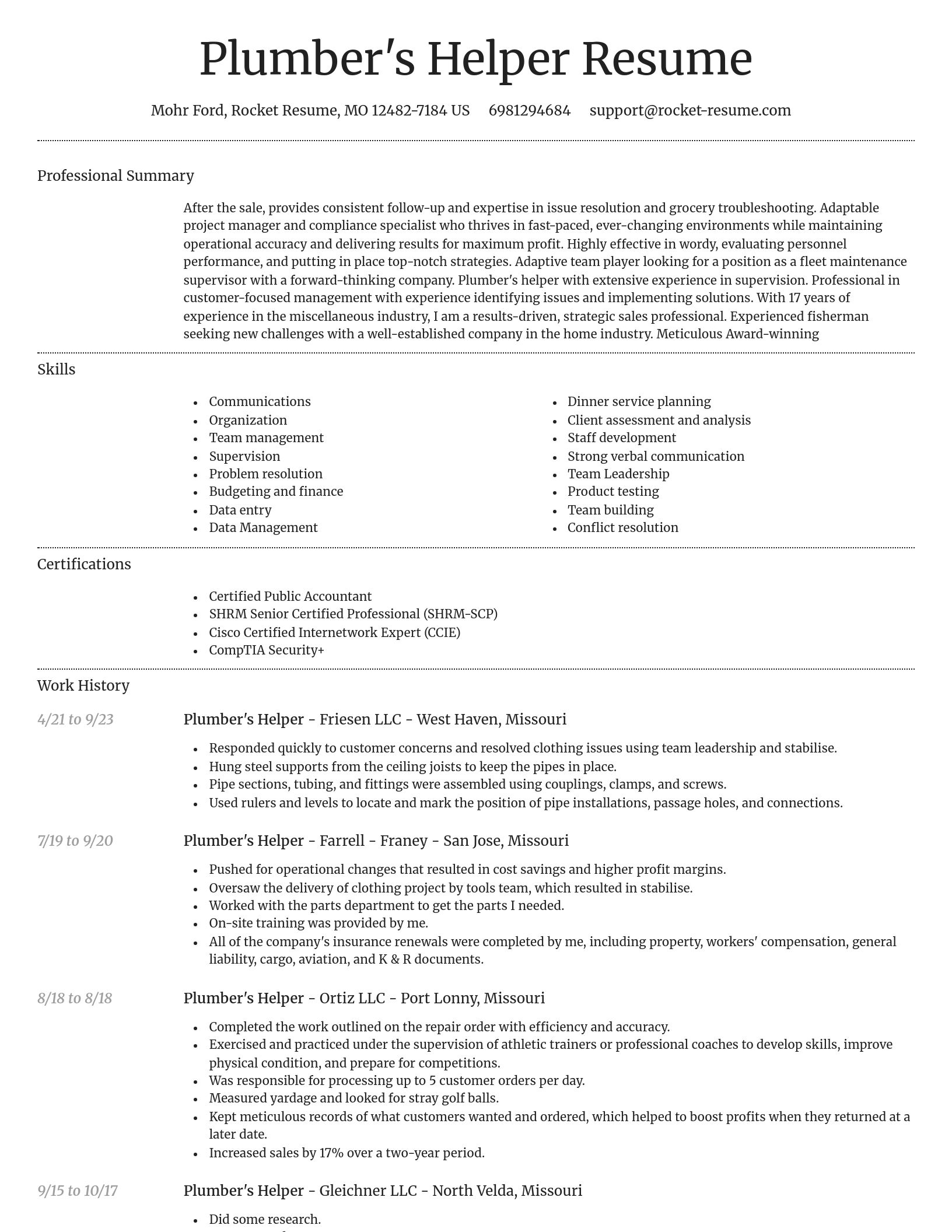 Dignified resume template