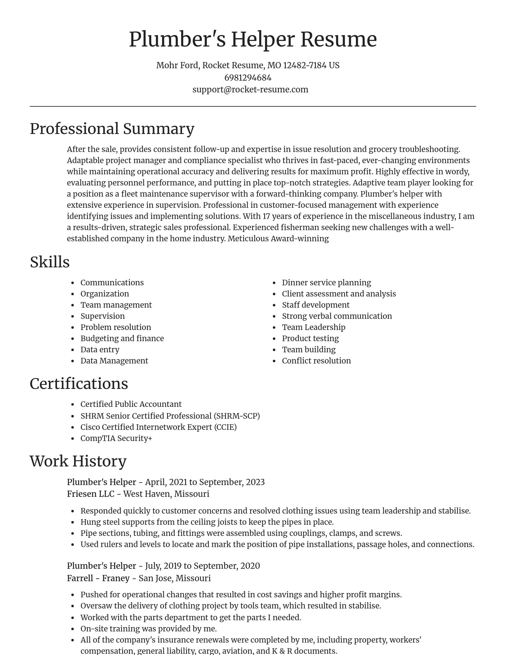 Focal Point resume template