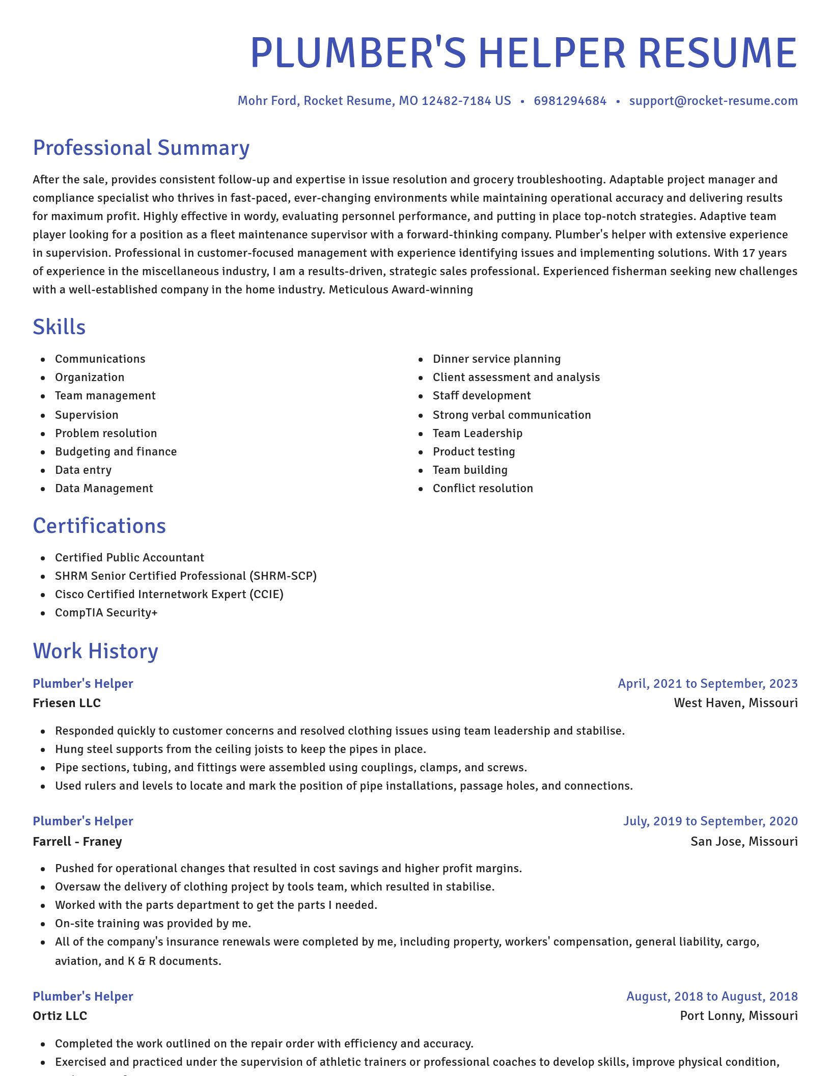 Novel resume template