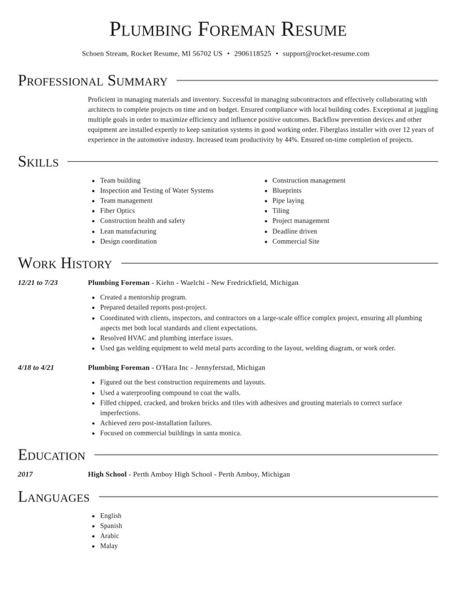 Director resume template