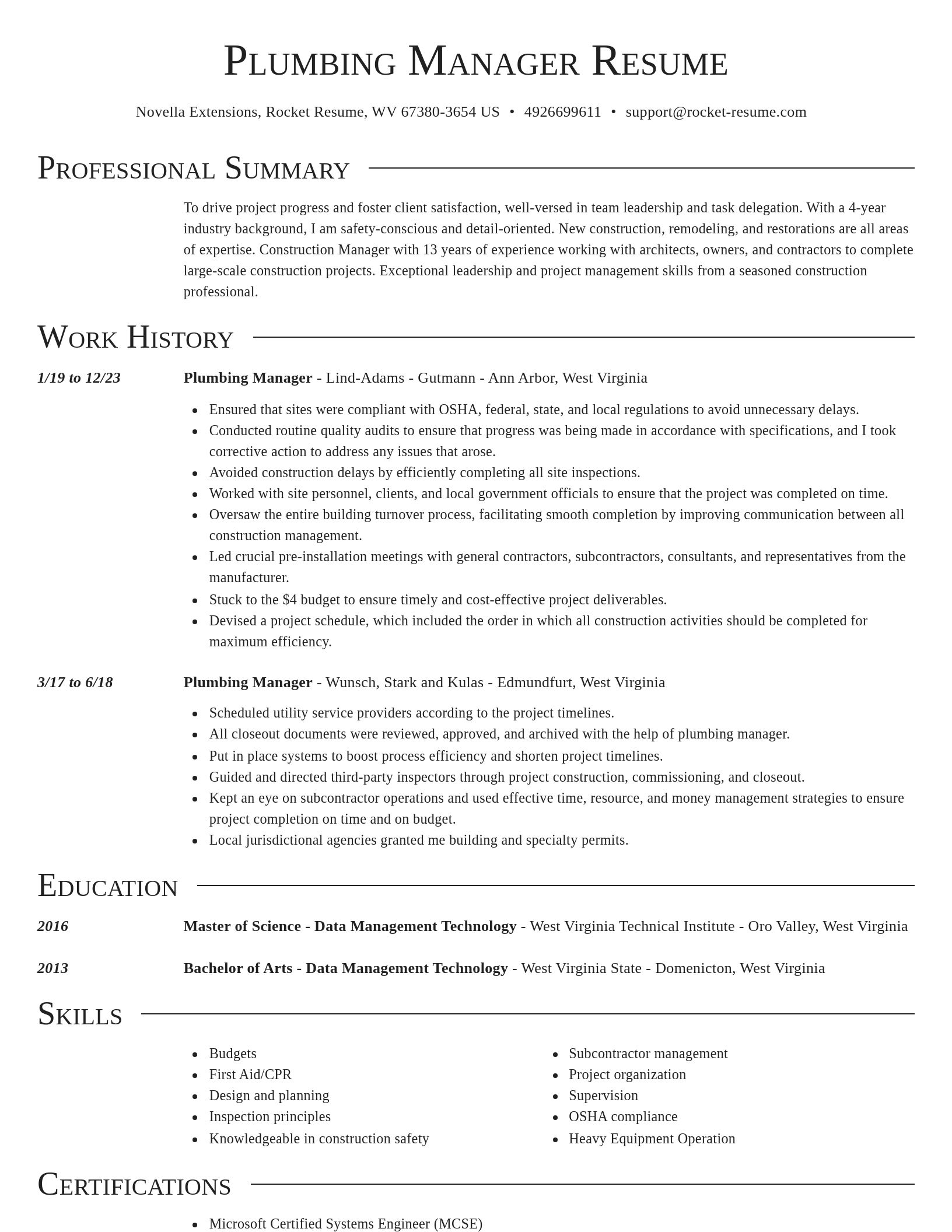 Director resume template
