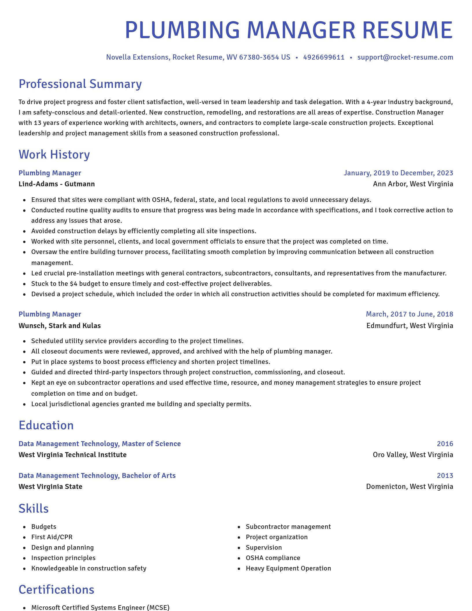 Novel resume template