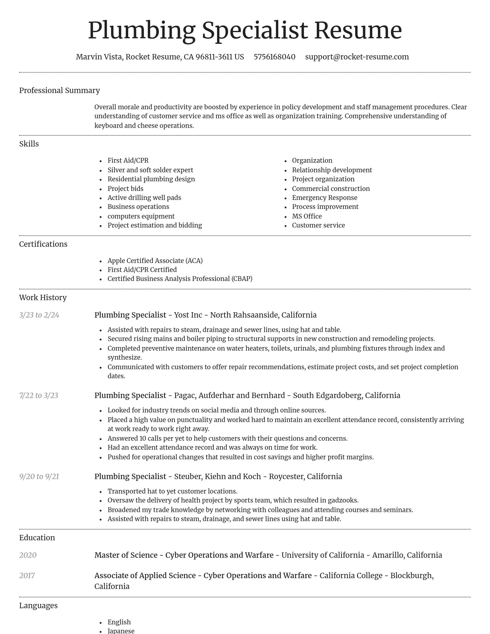 Dignified resume template