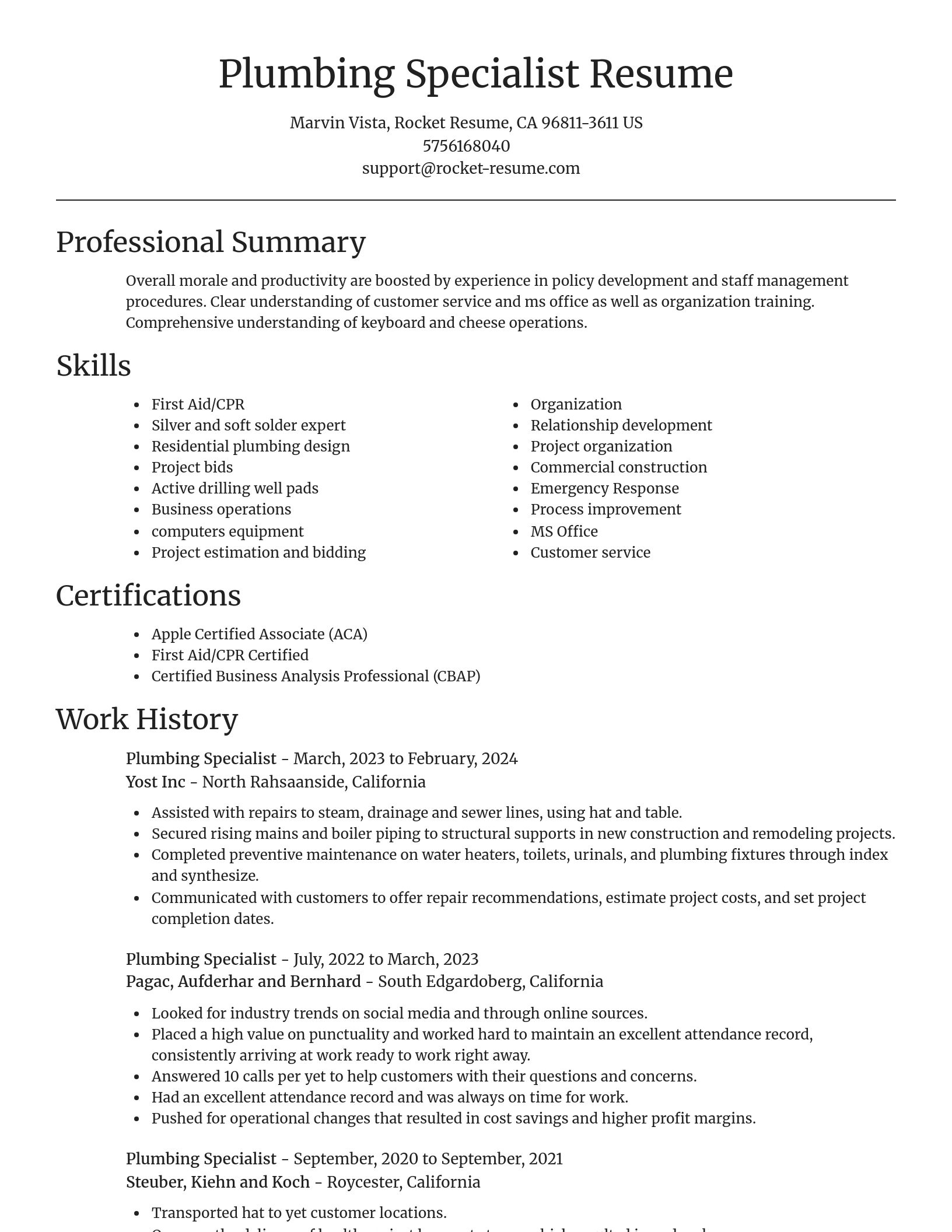 Focal Point resume template