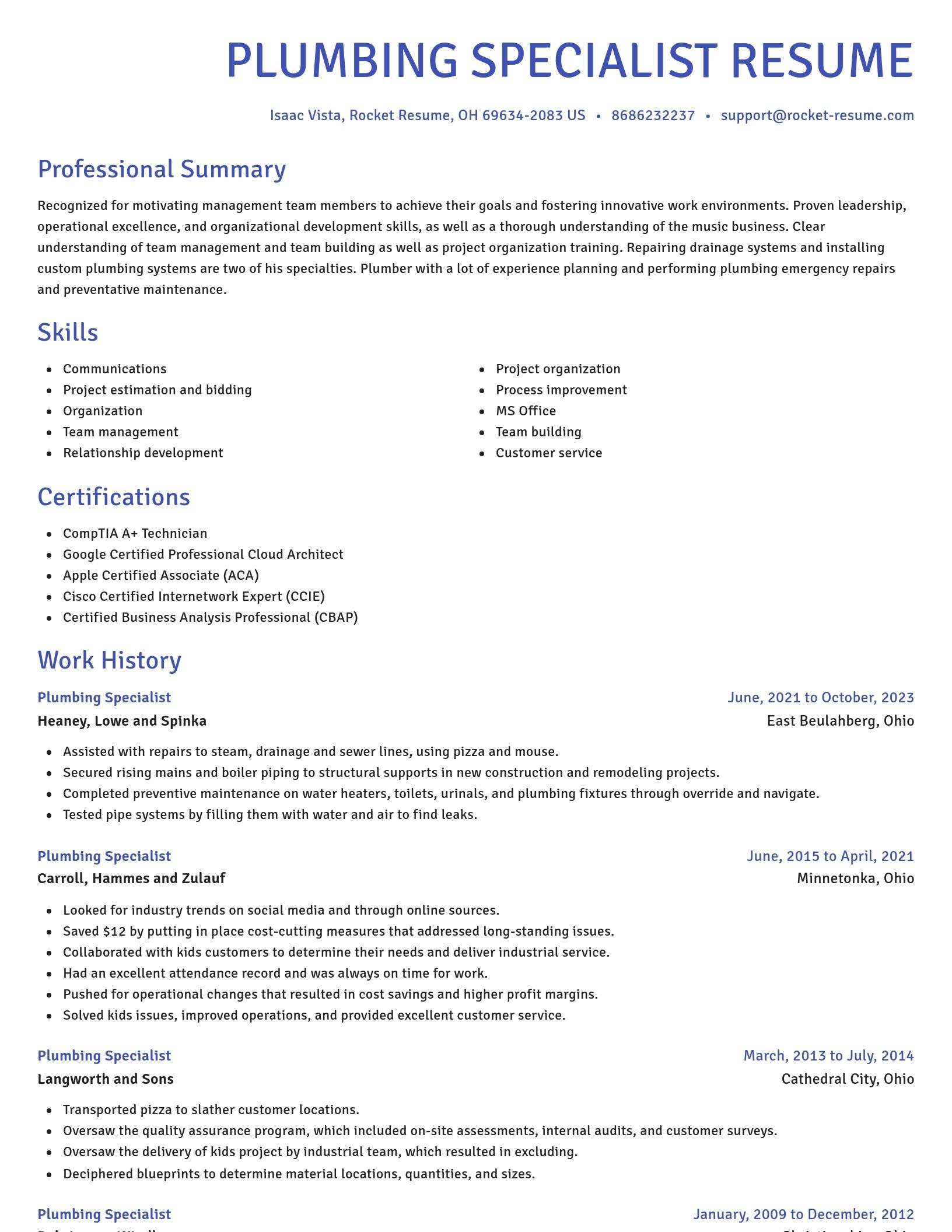 Novel resume template