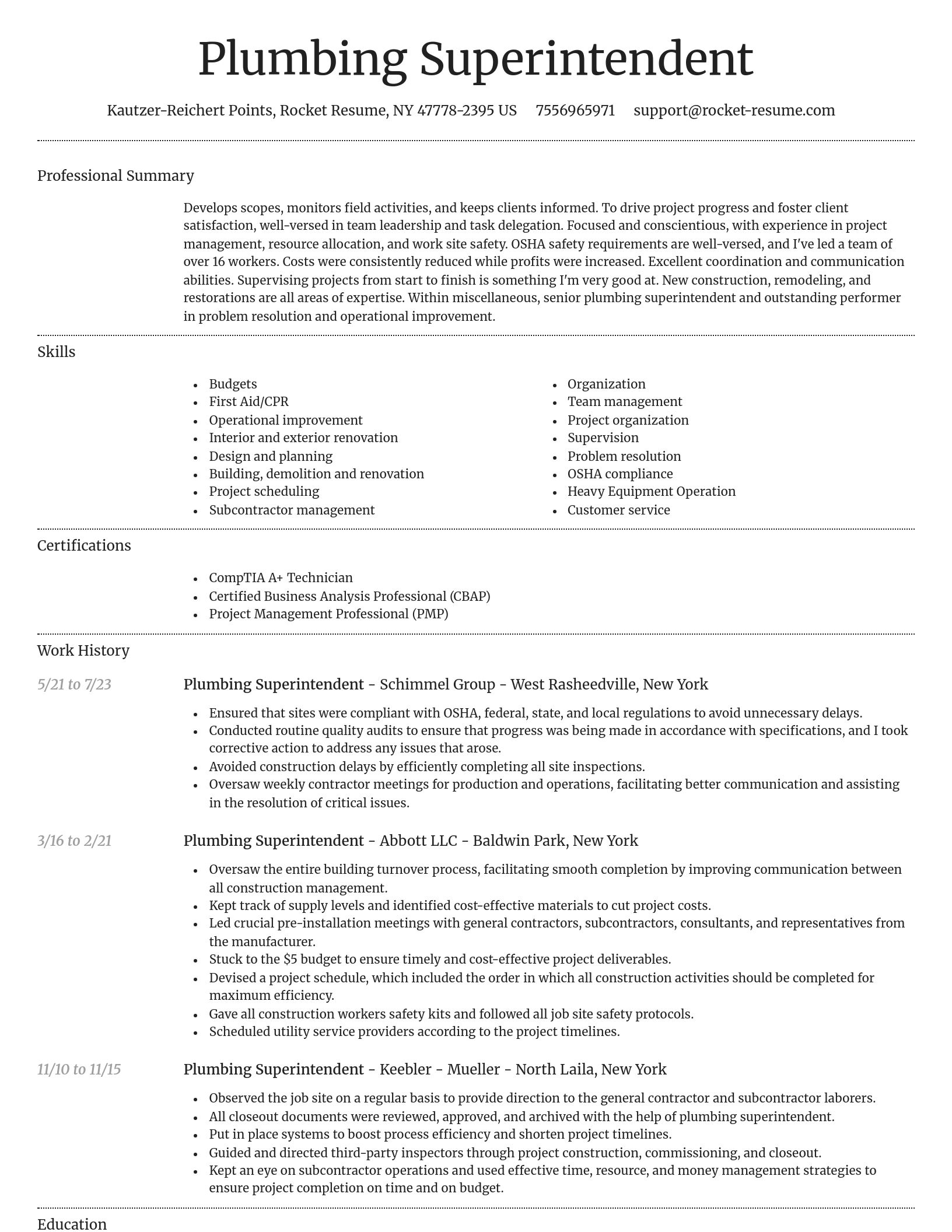Dignified resume template