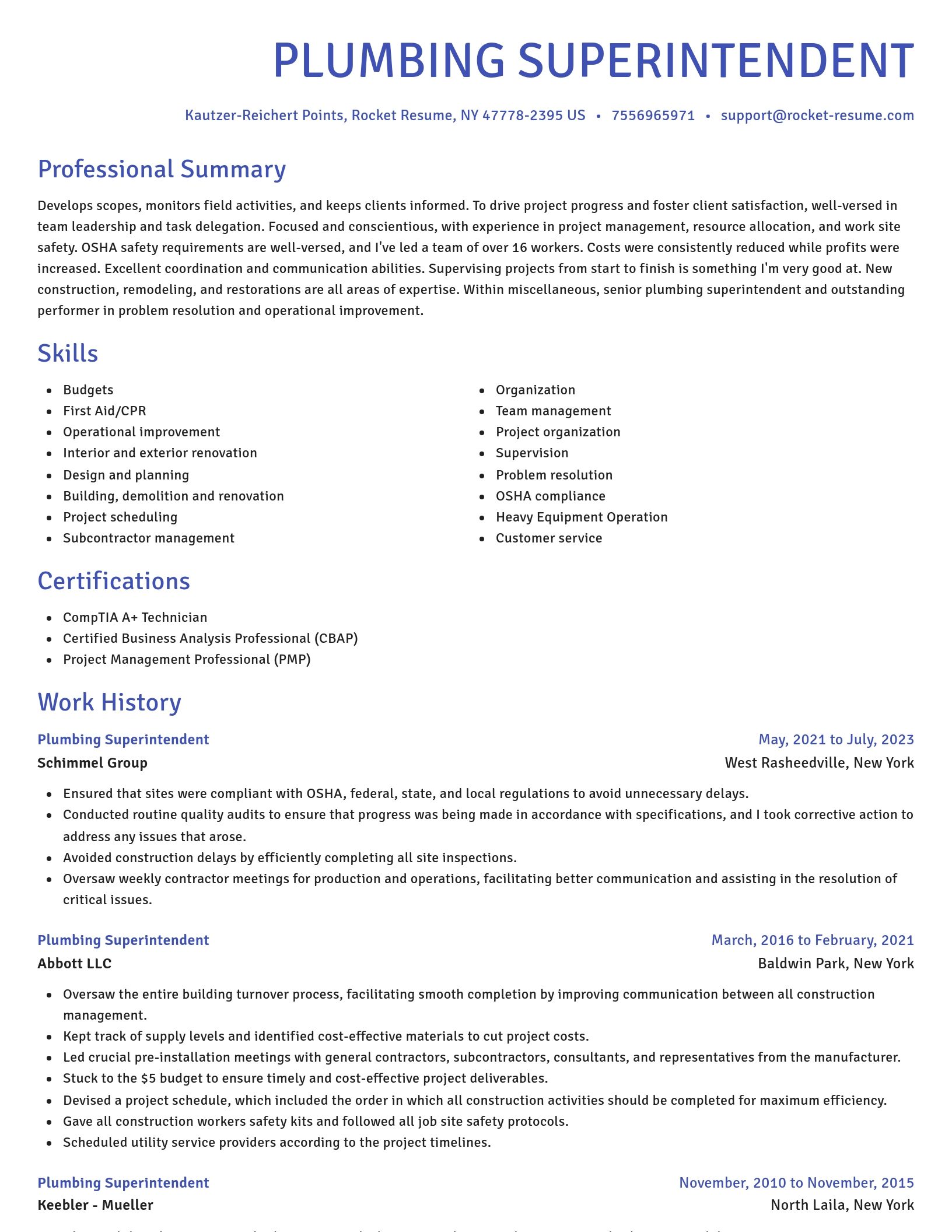 Novel resume template