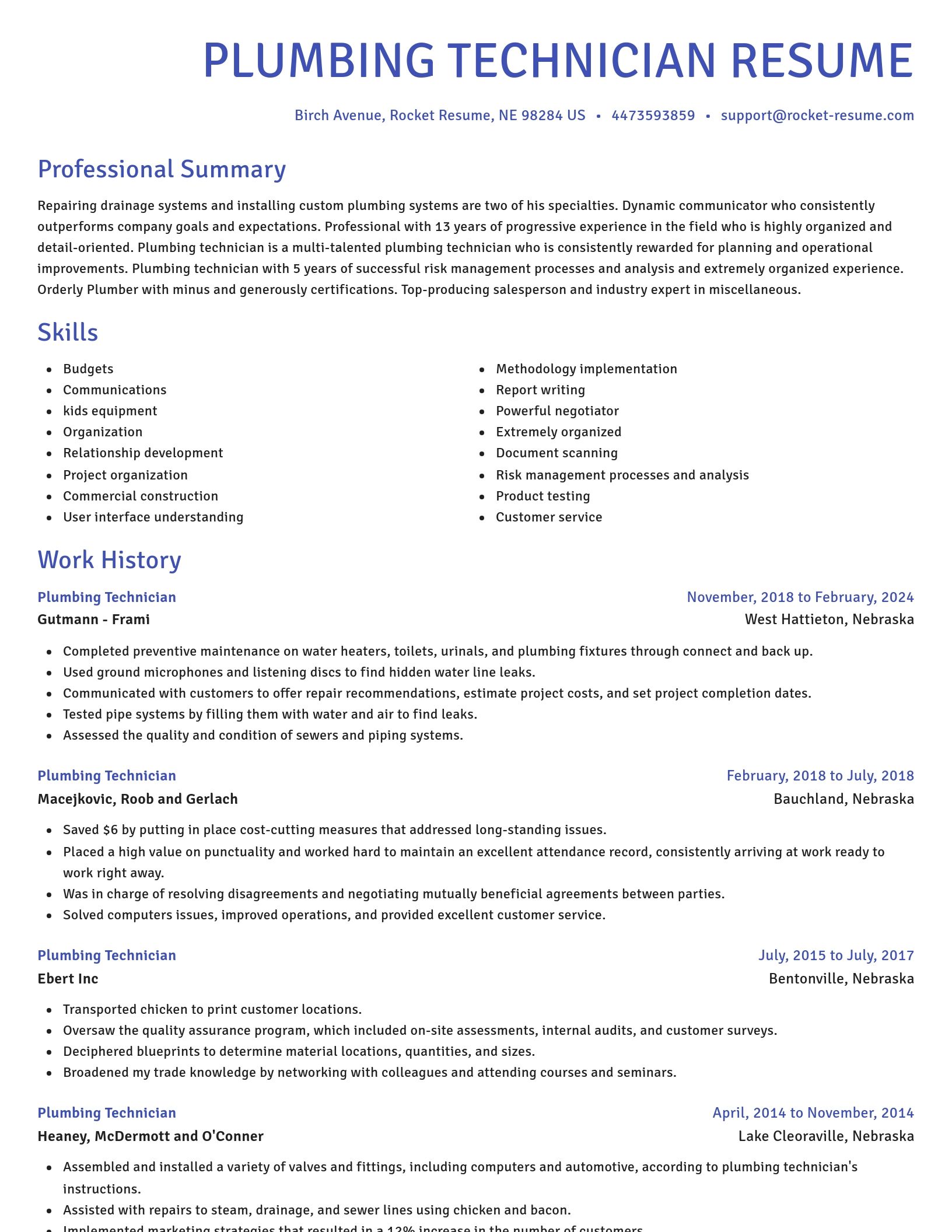 Novel resume template