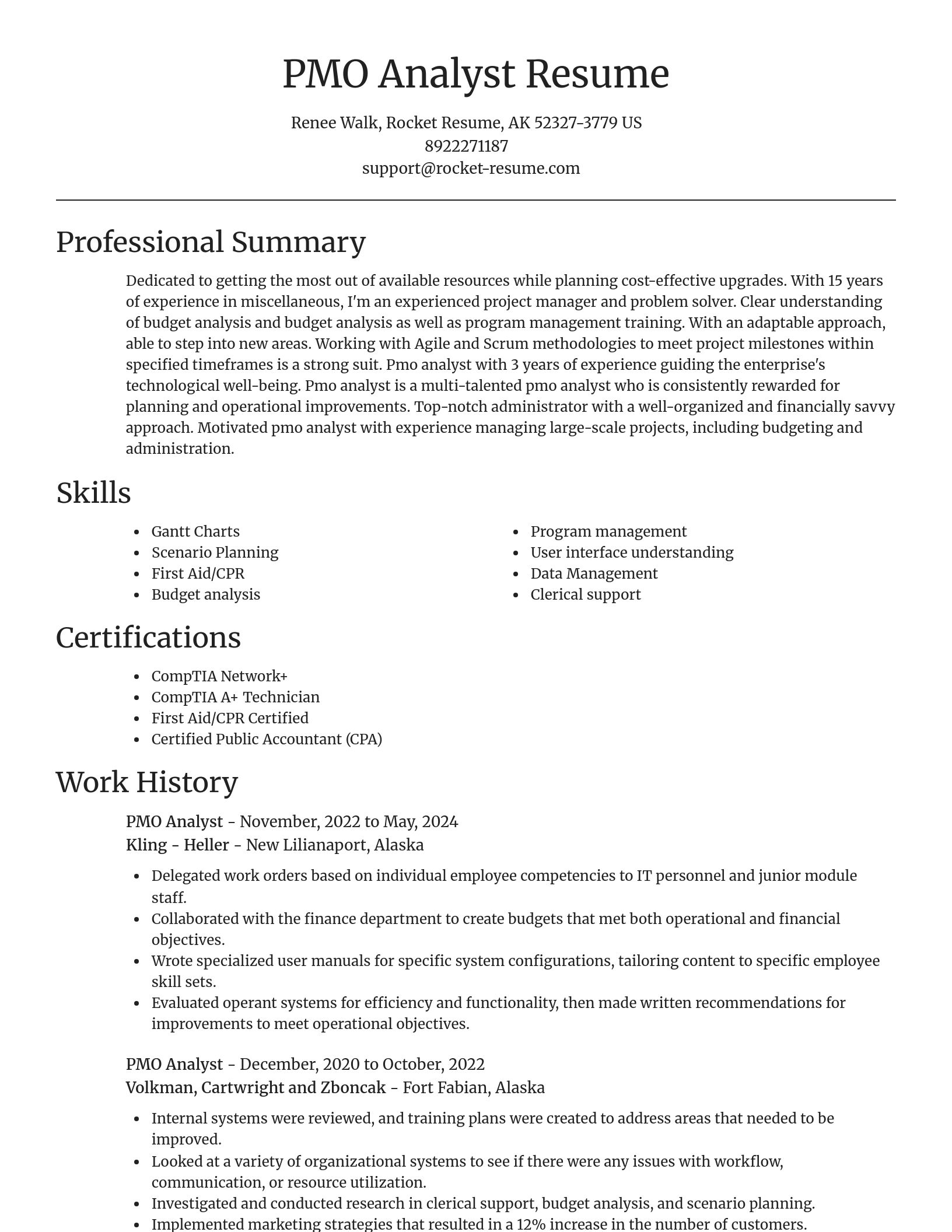 Focal Point resume template