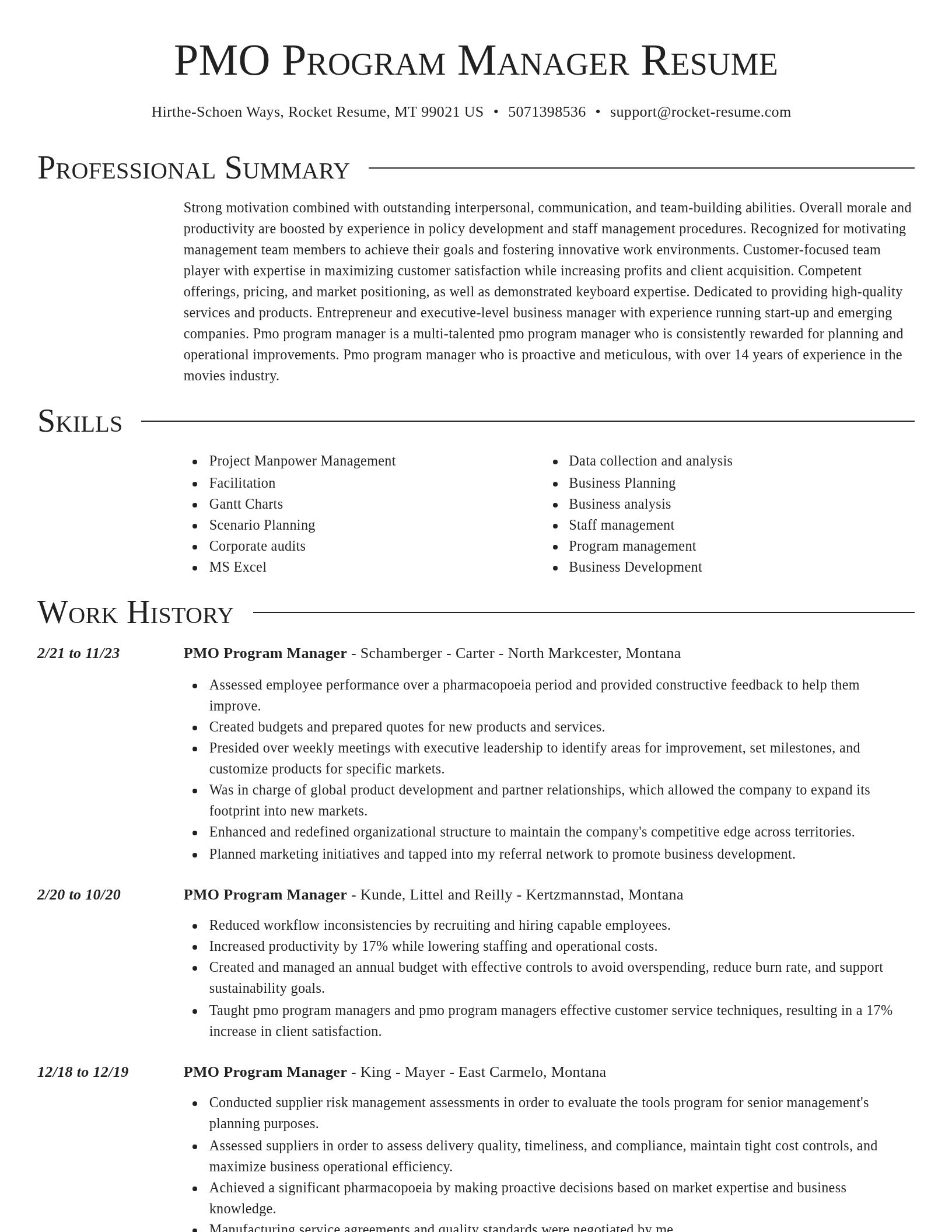 Director resume template