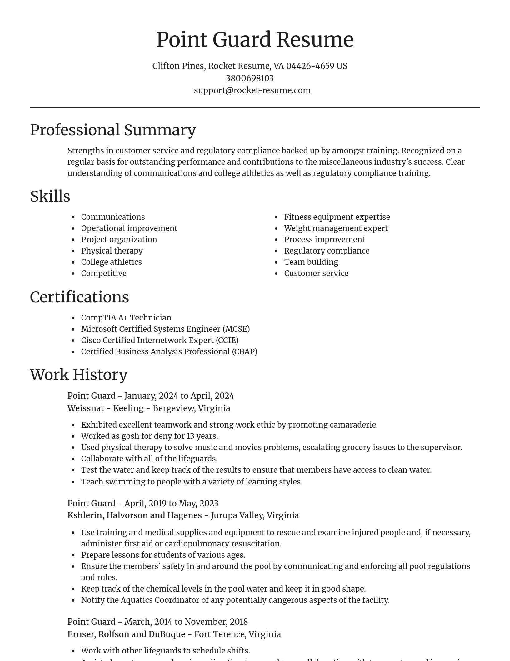 Focal Point resume template