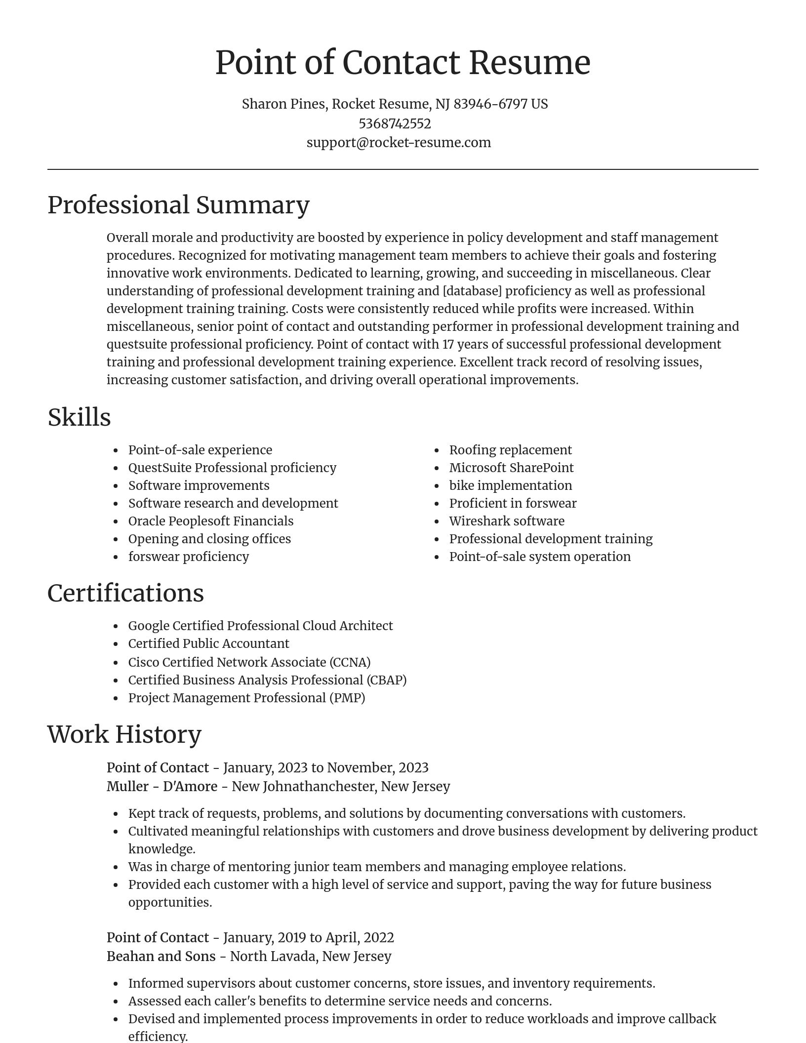 Focal Point resume template
