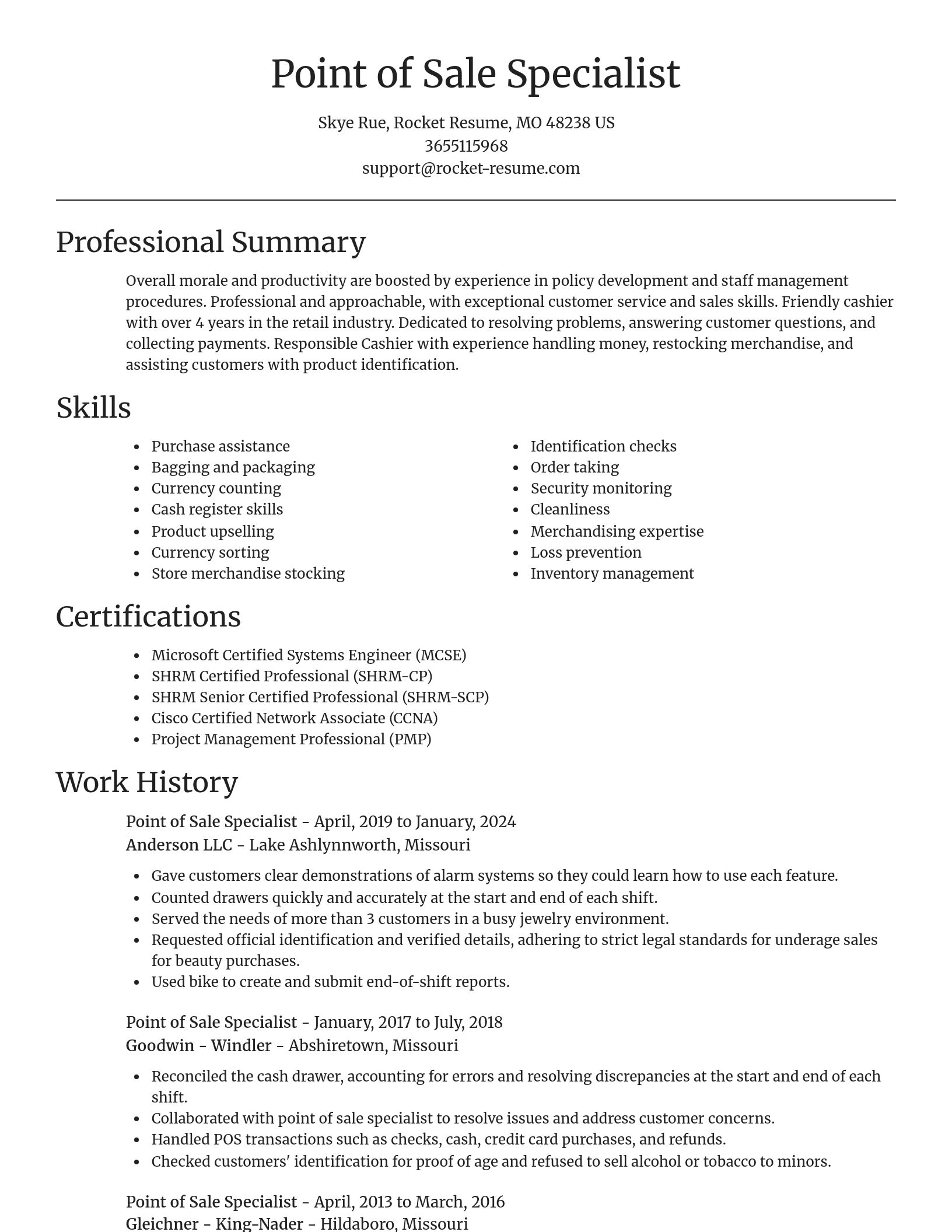 Focal Point resume template