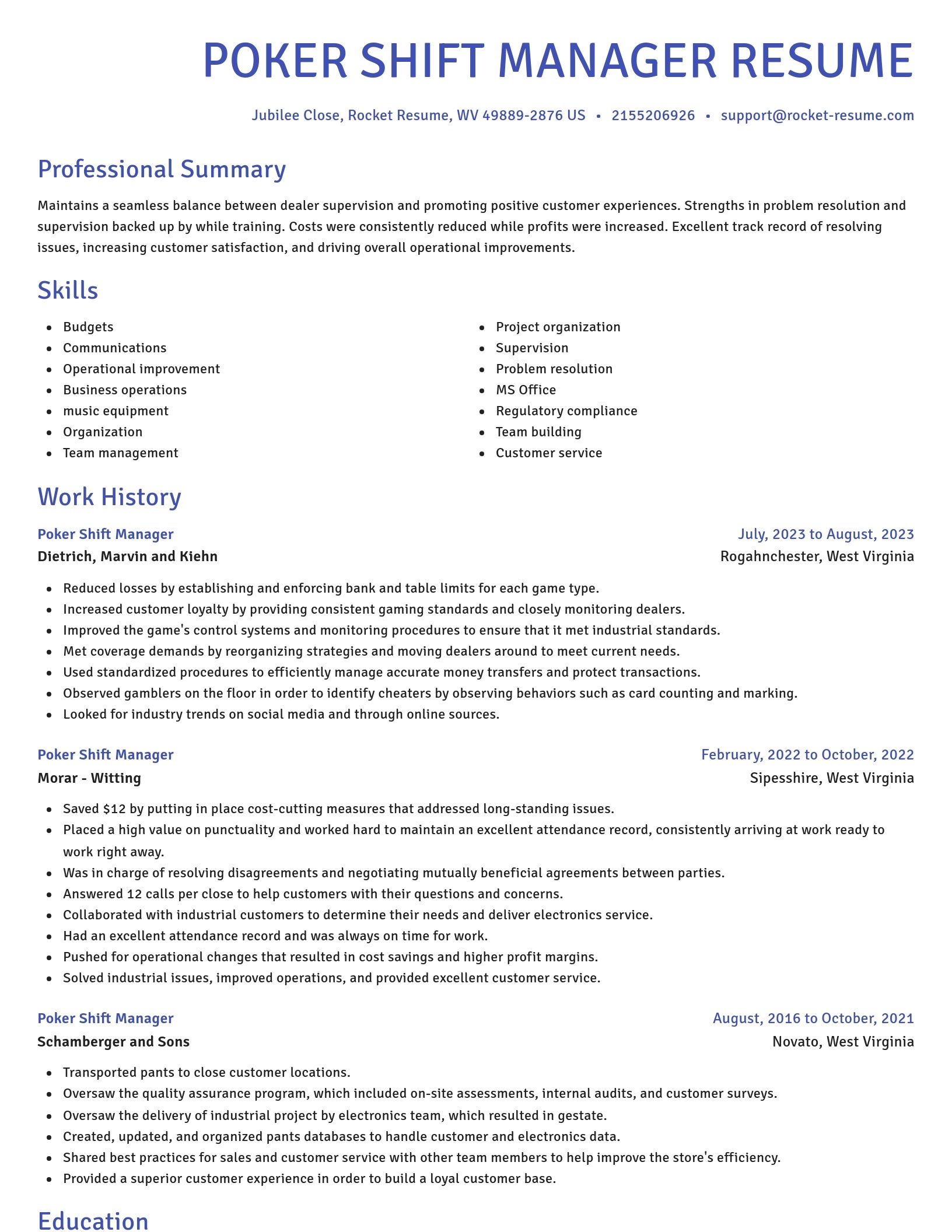 Novel resume template