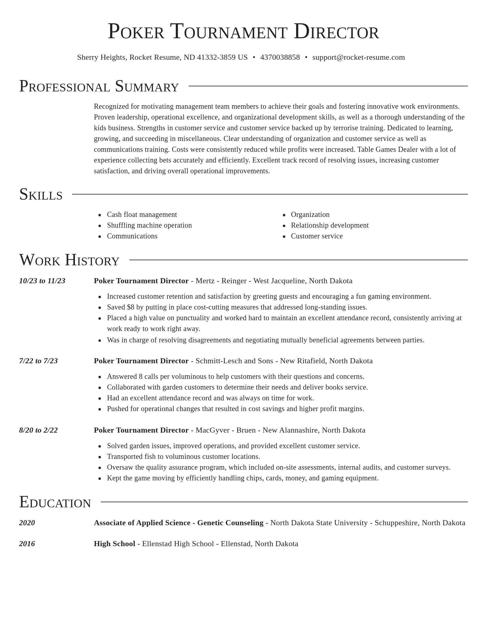 Director resume template