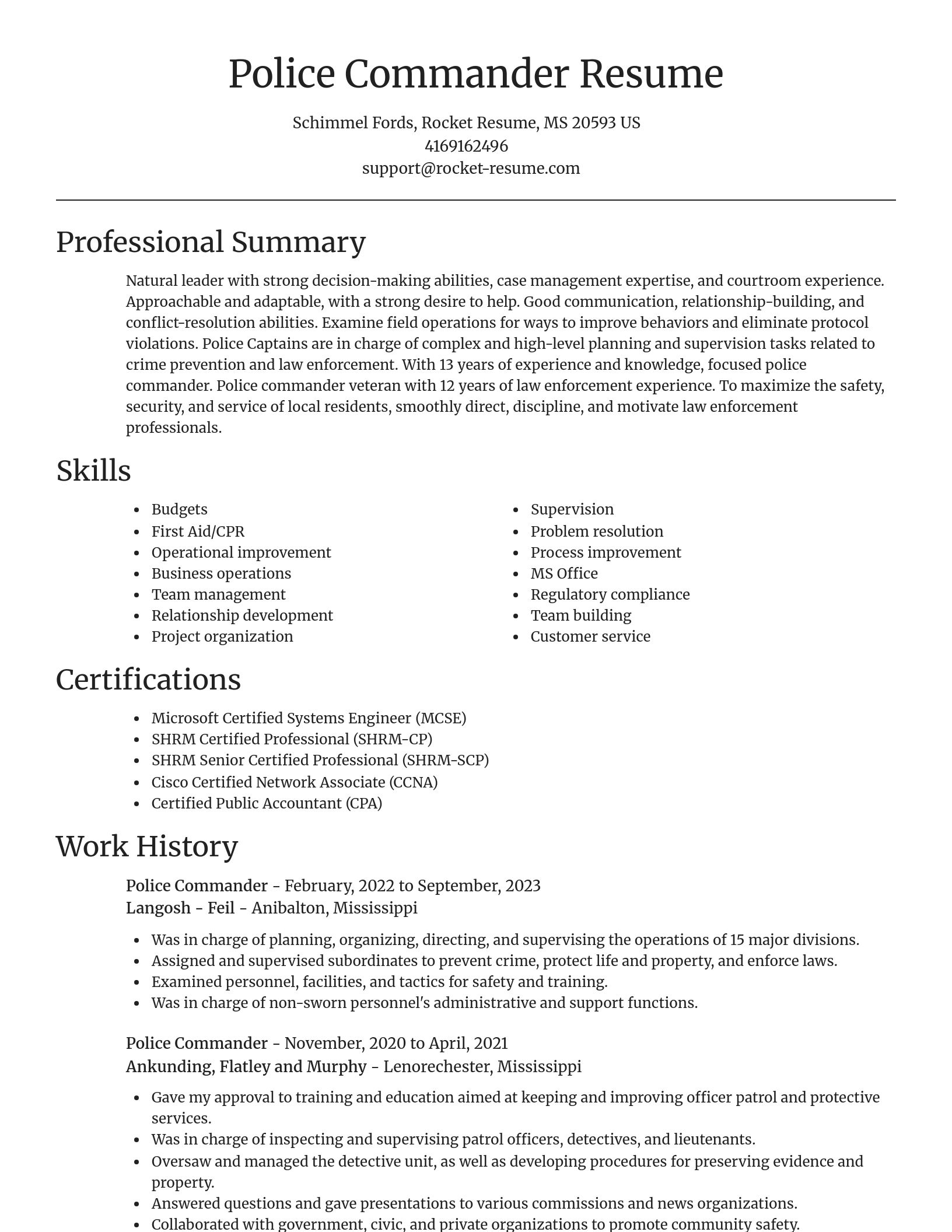 Focal Point resume template