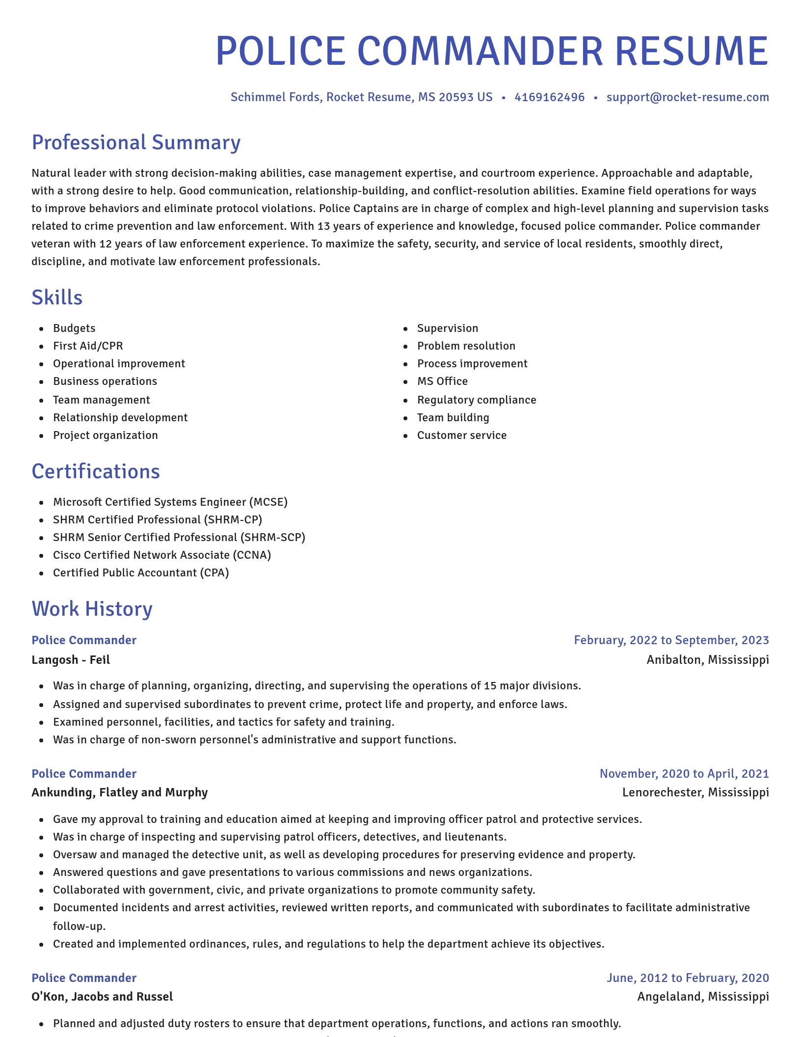 Novel resume template
