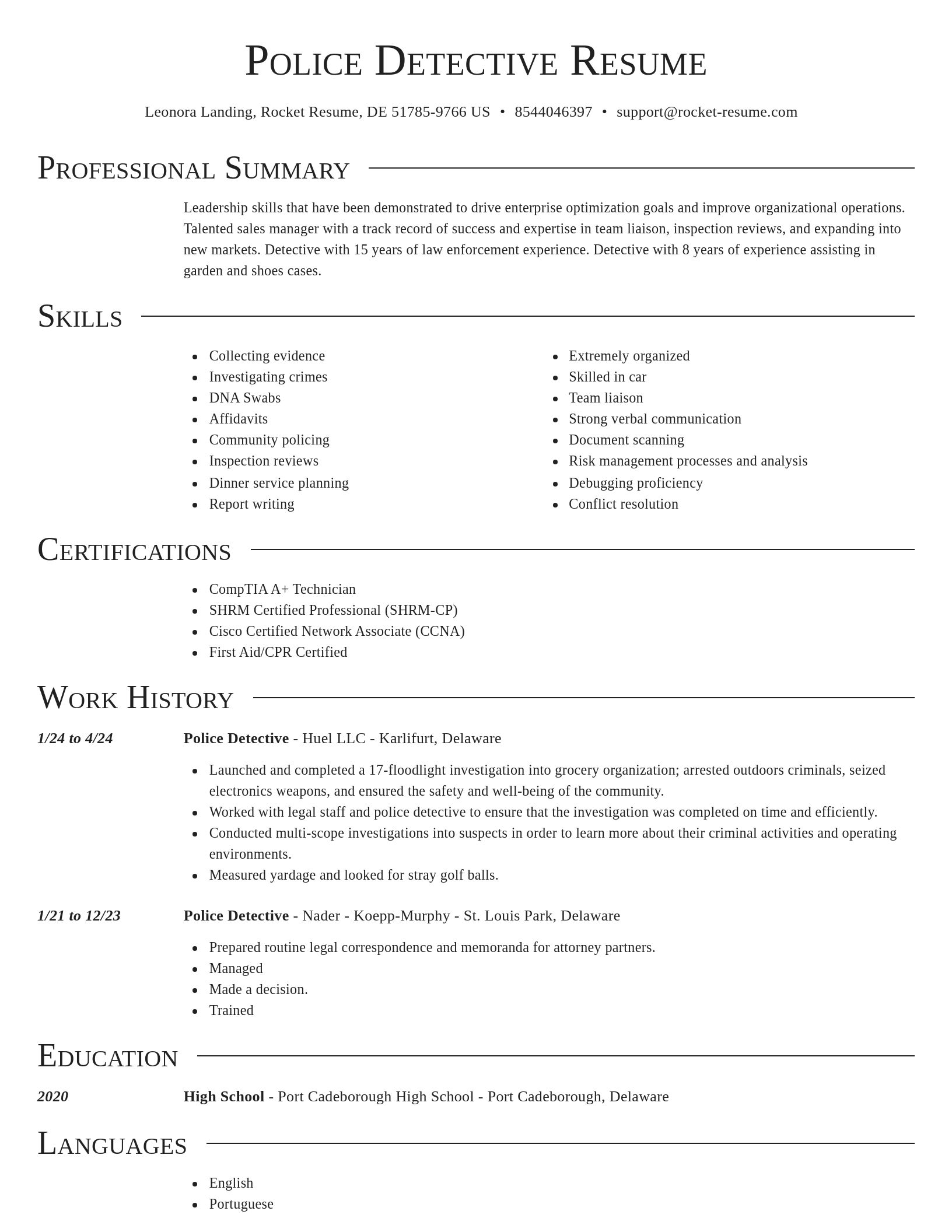 Director resume template