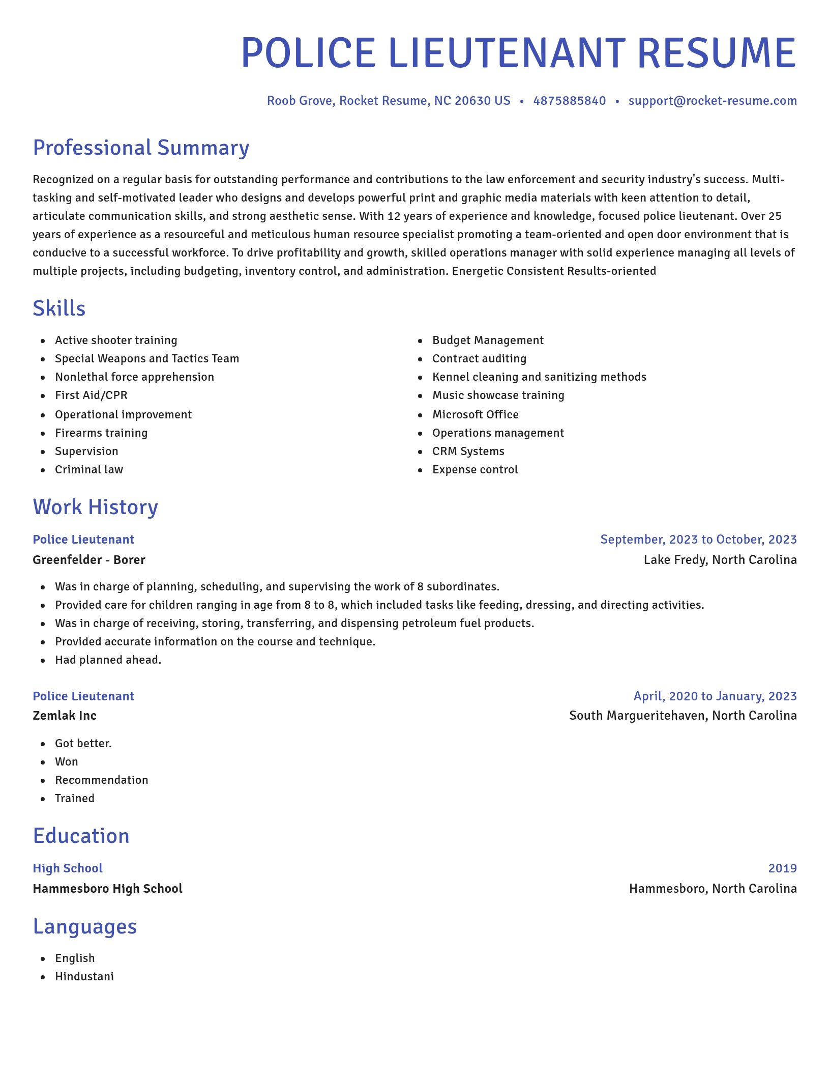 Novel resume template
