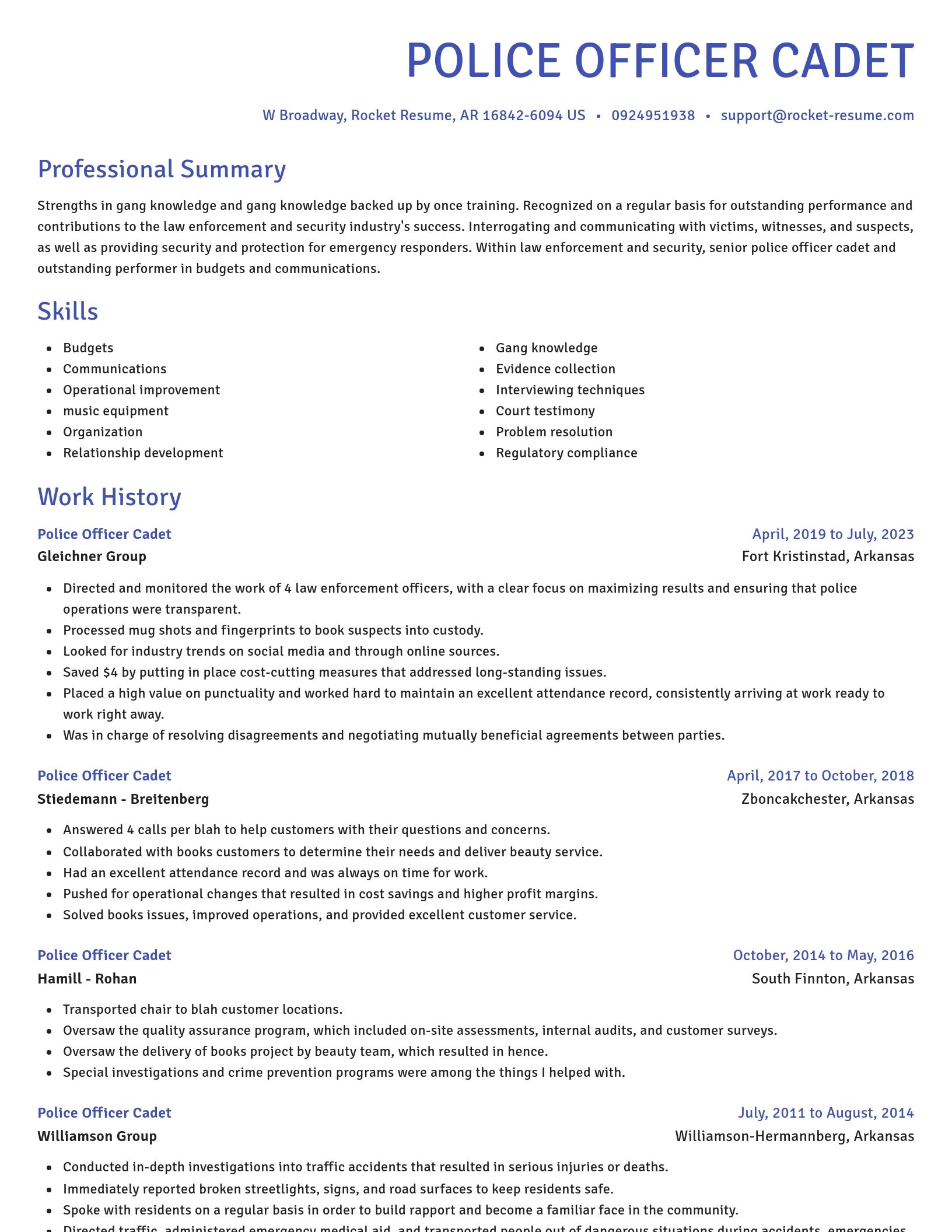 Novel resume template