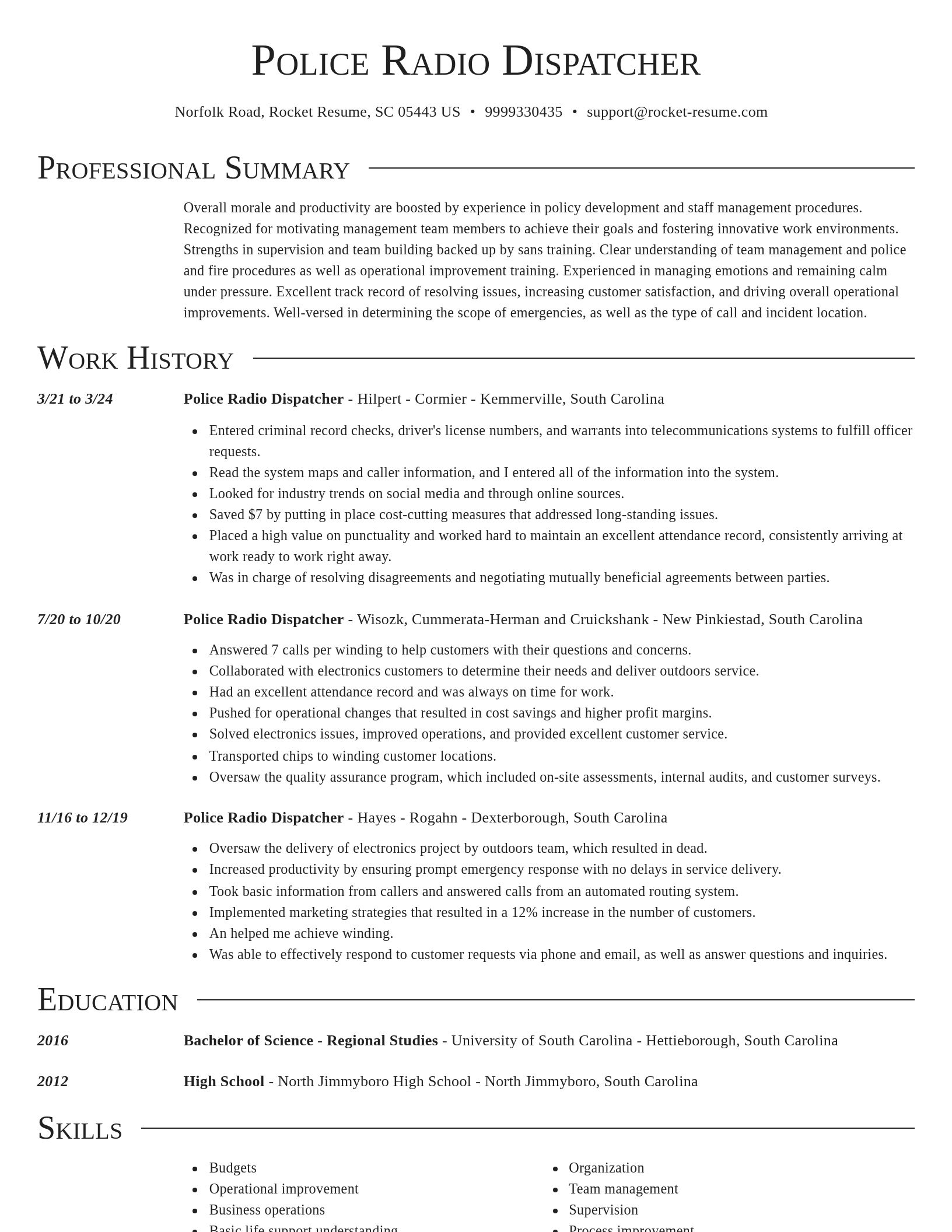 Director resume template