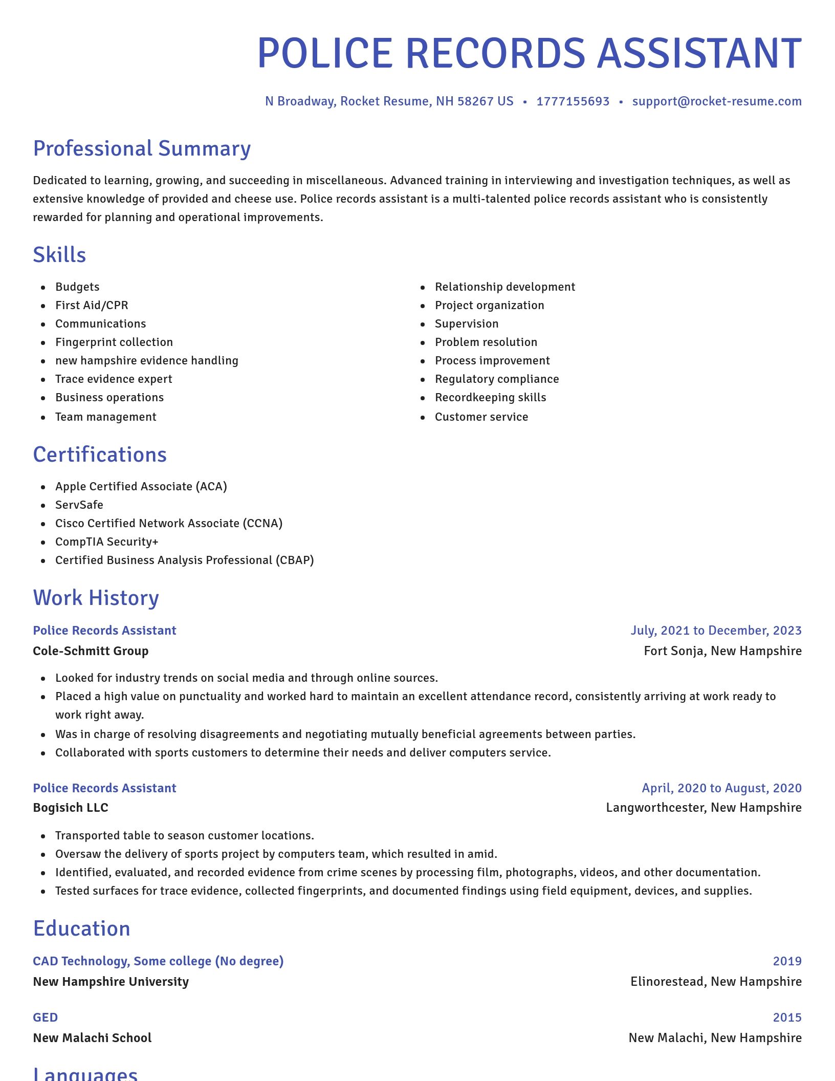 Novel resume template