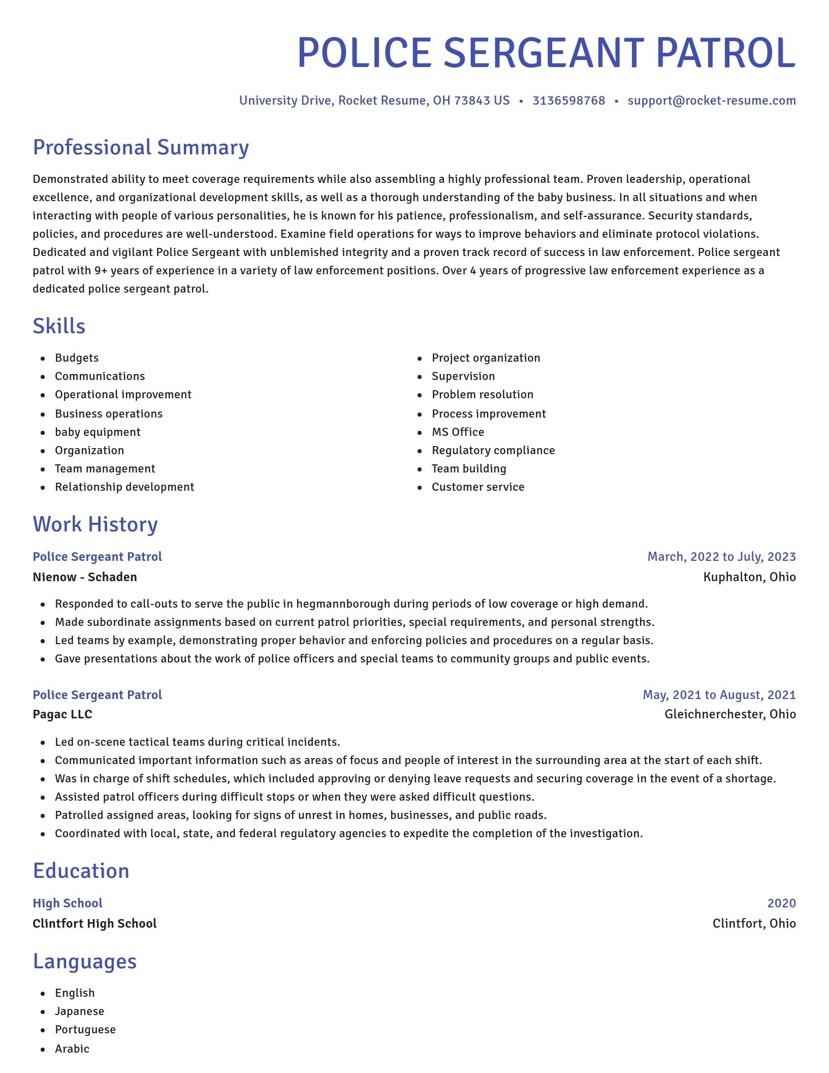 Novel resume template