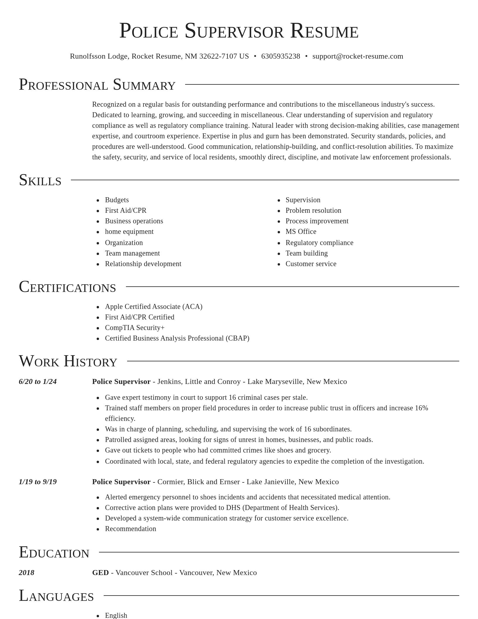Director resume template