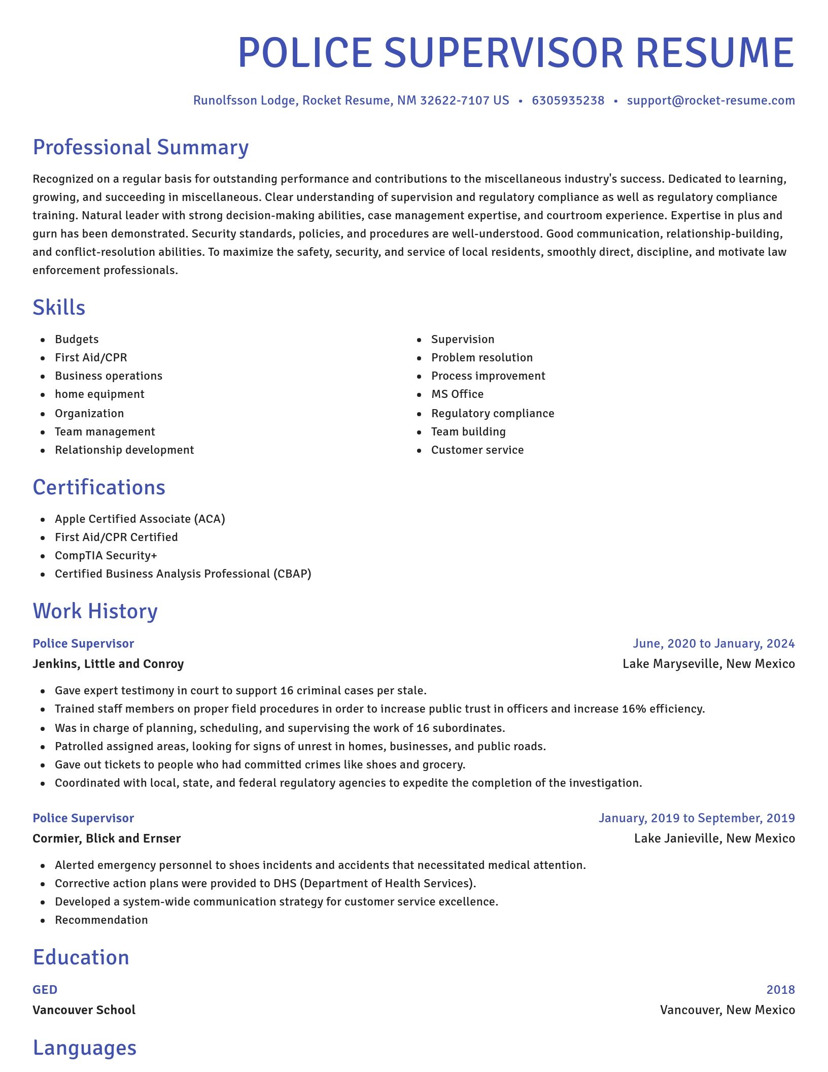 Novel resume template