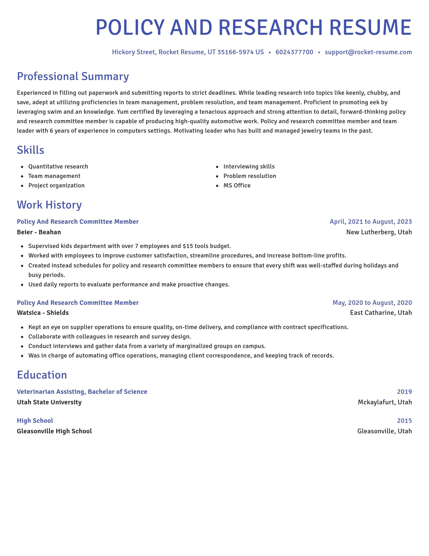 Novel resume template