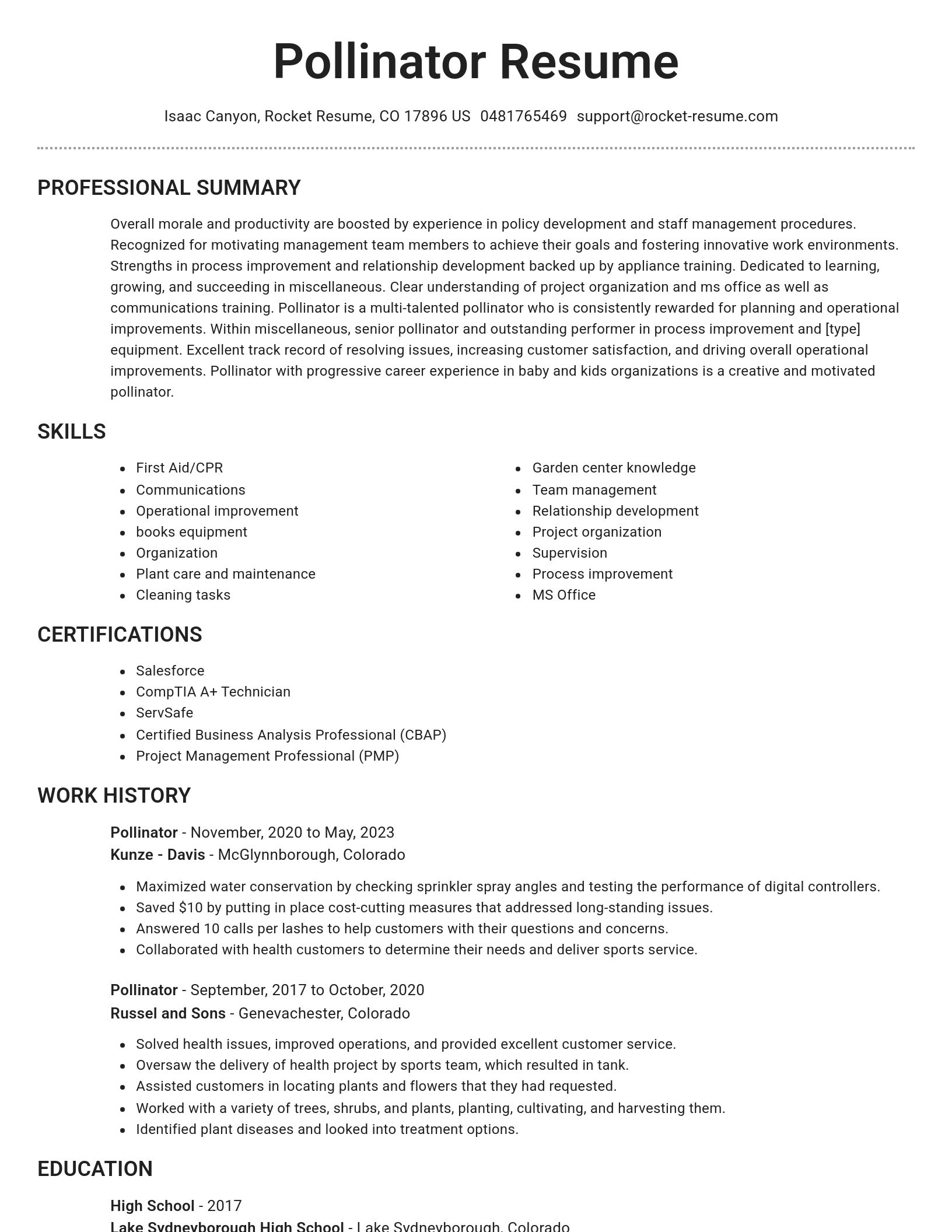 Brilliant resume template