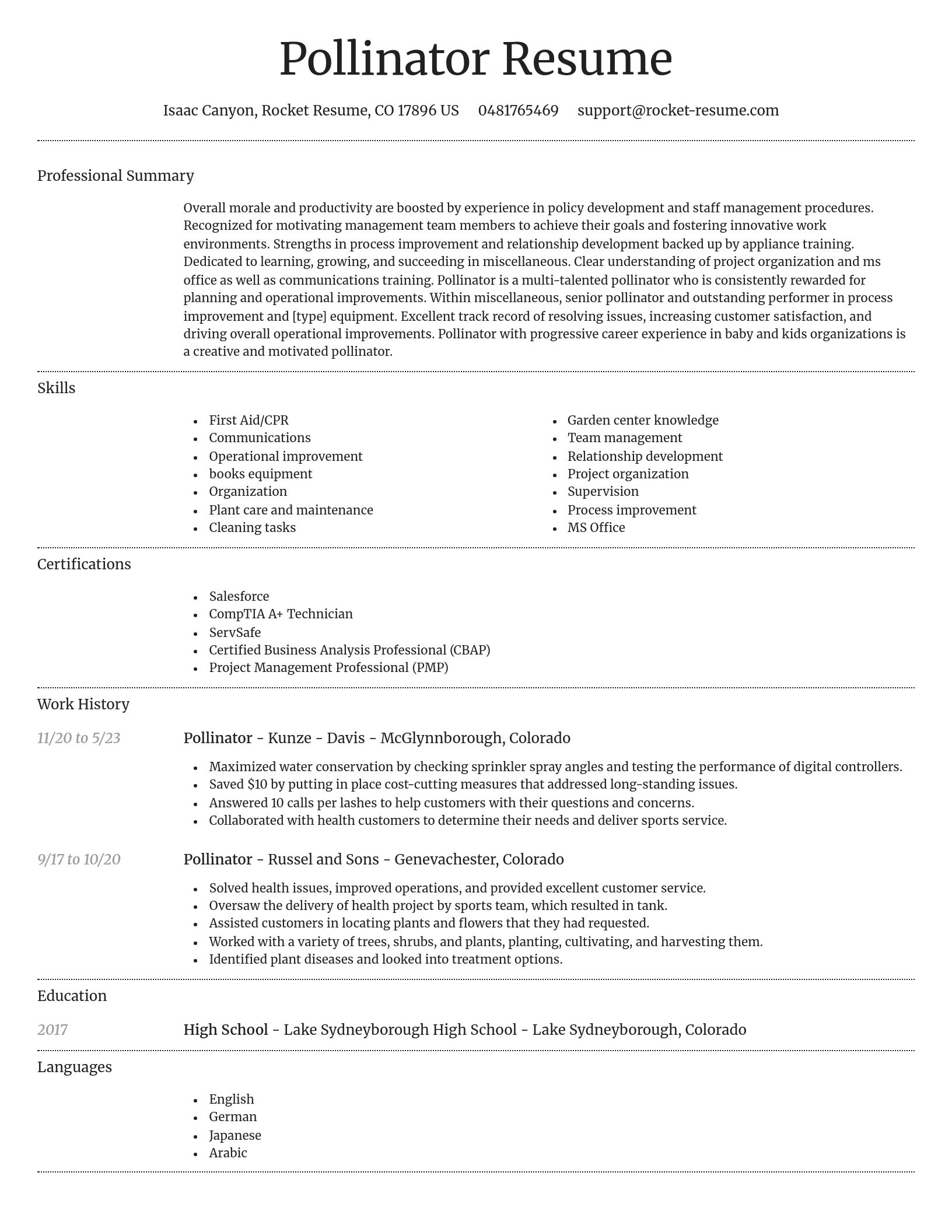 Dignified resume template