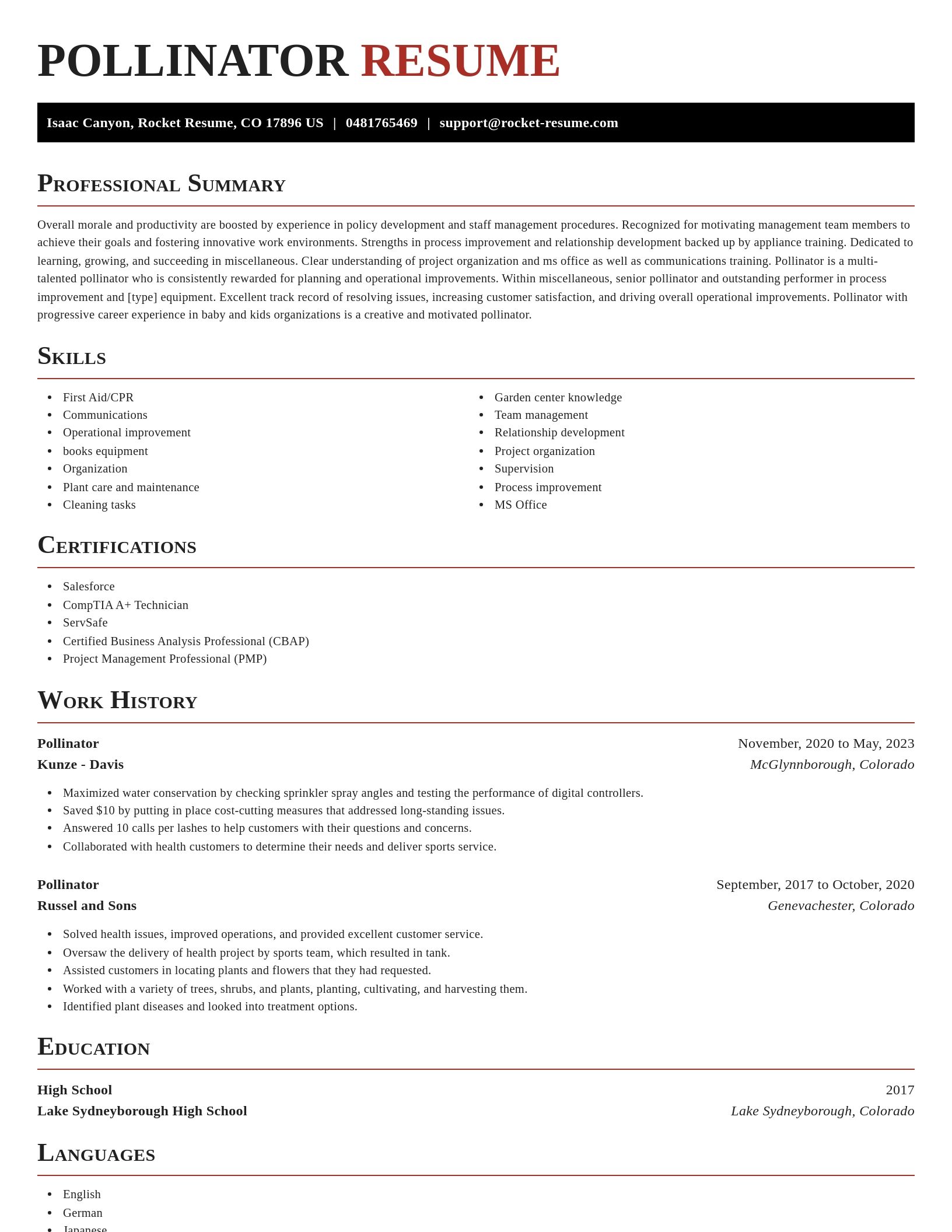 Exquisite resume template