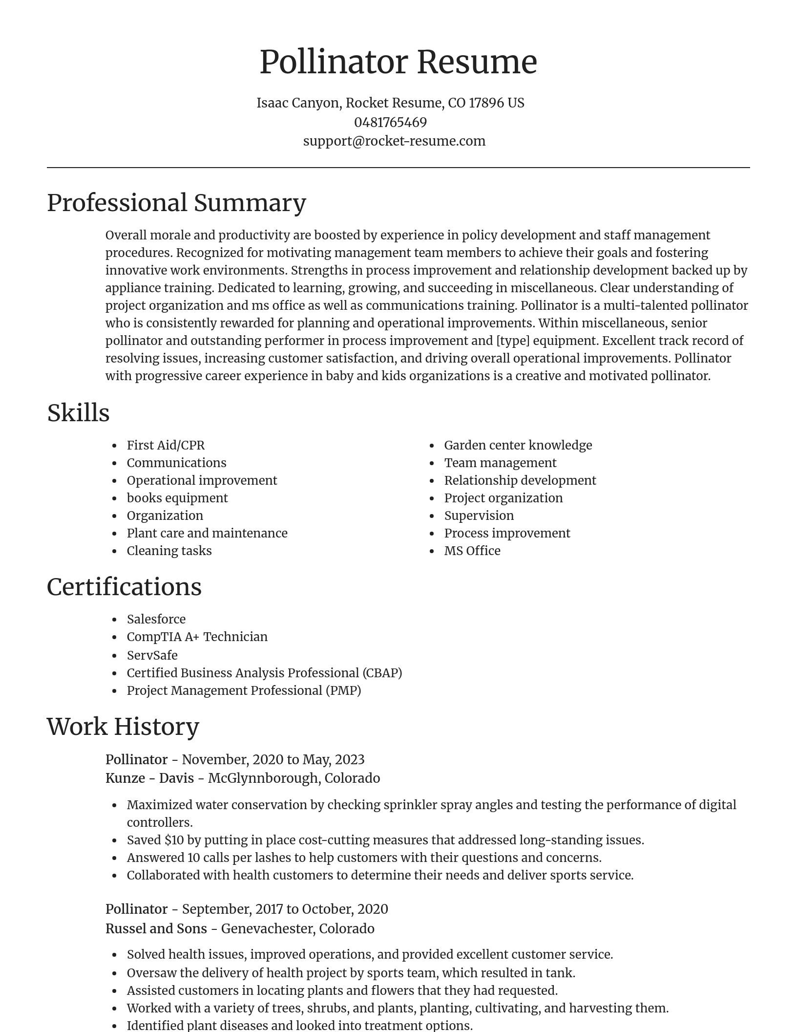 Focal Point resume template