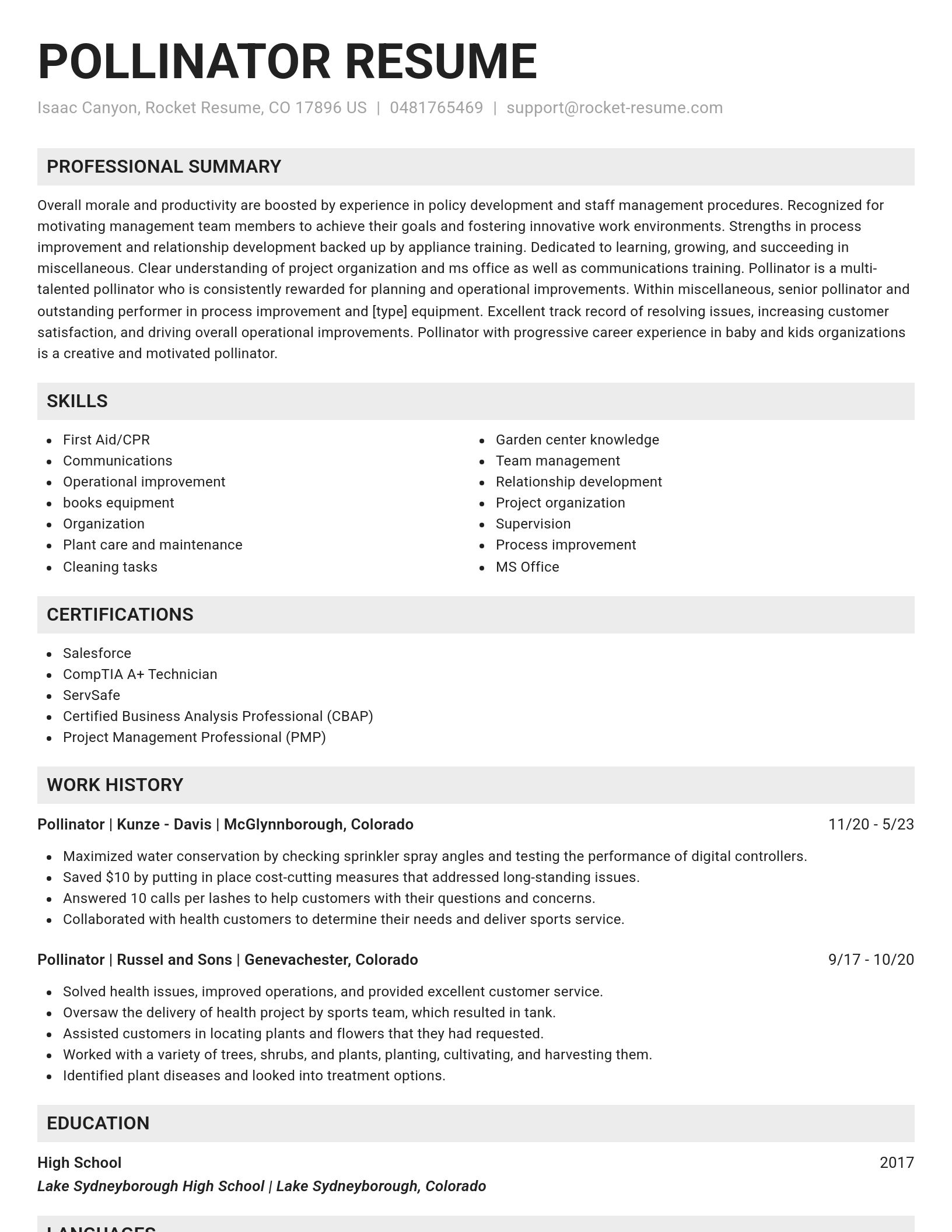 Genius resume template