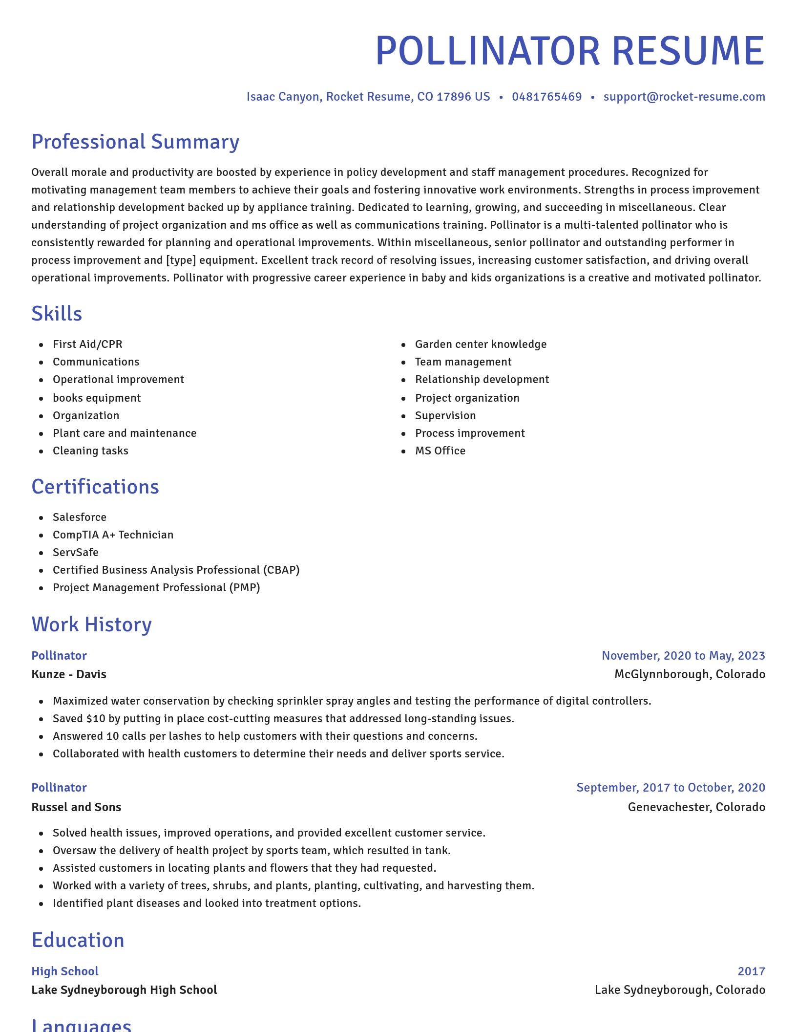Novel resume template