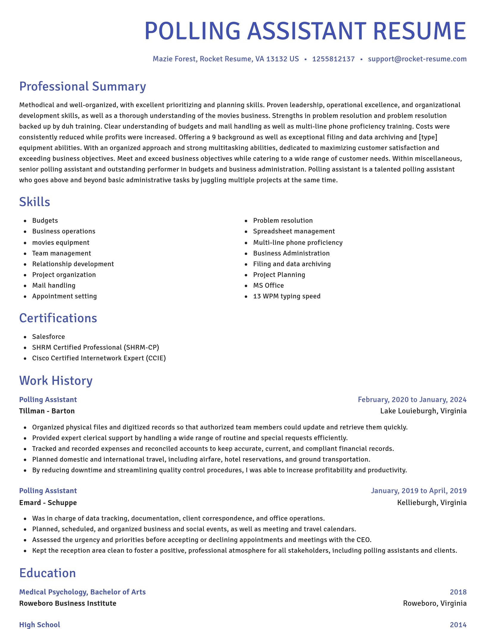 Novel resume template