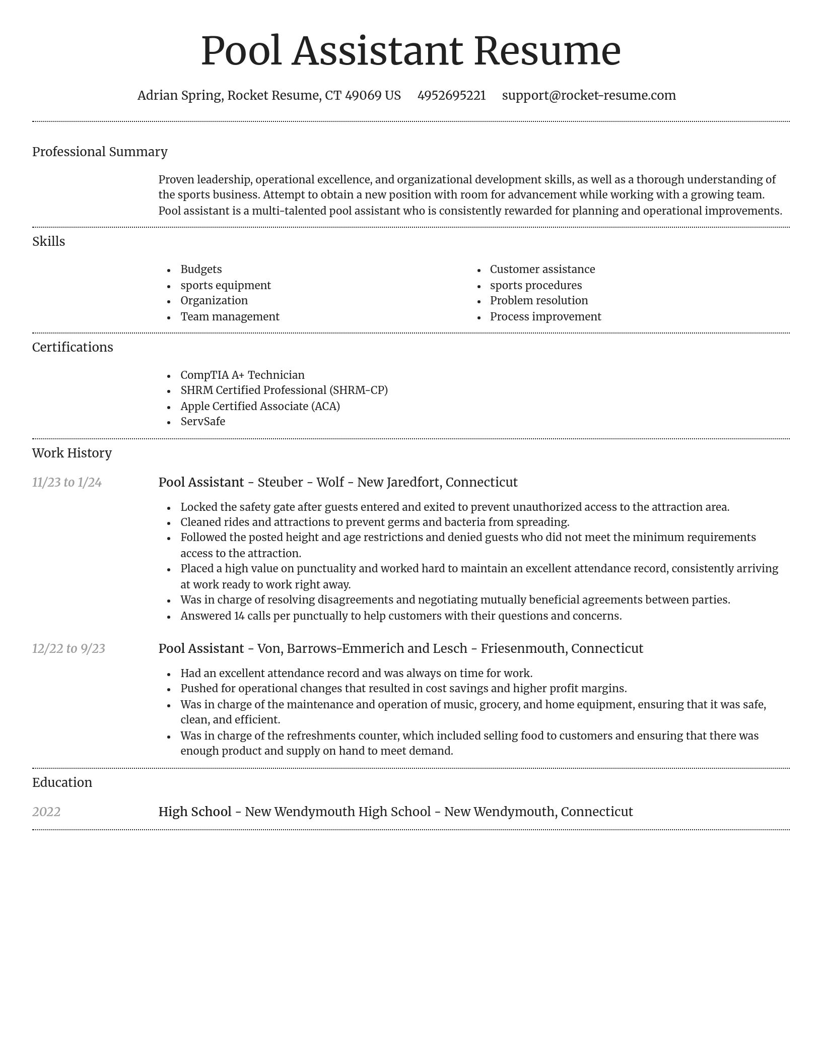 Dignified resume template