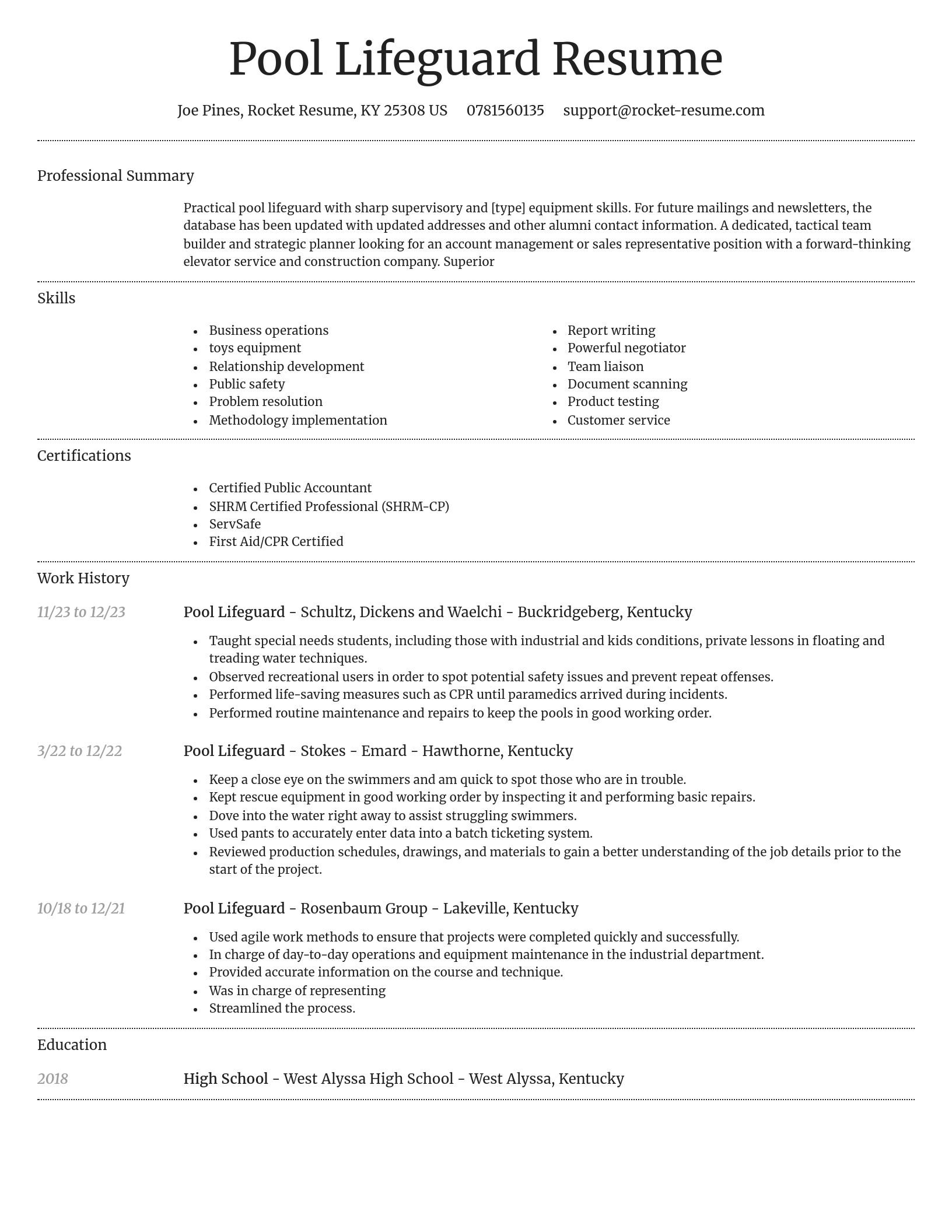 Dignified resume template