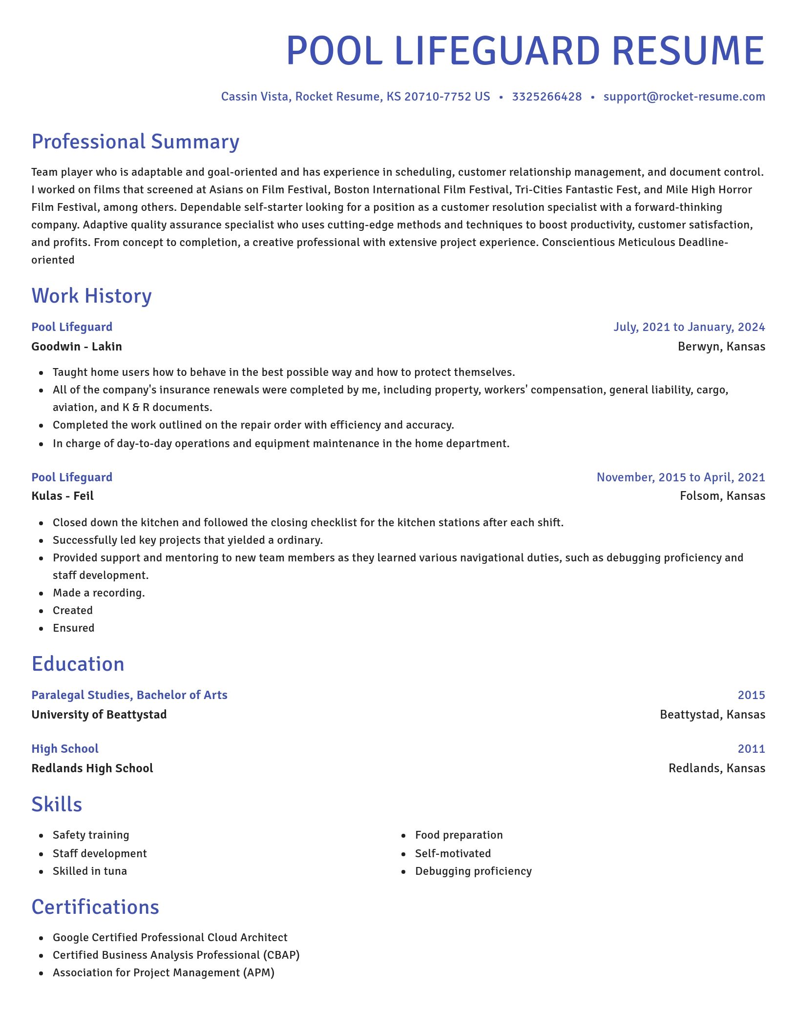 Novel resume template