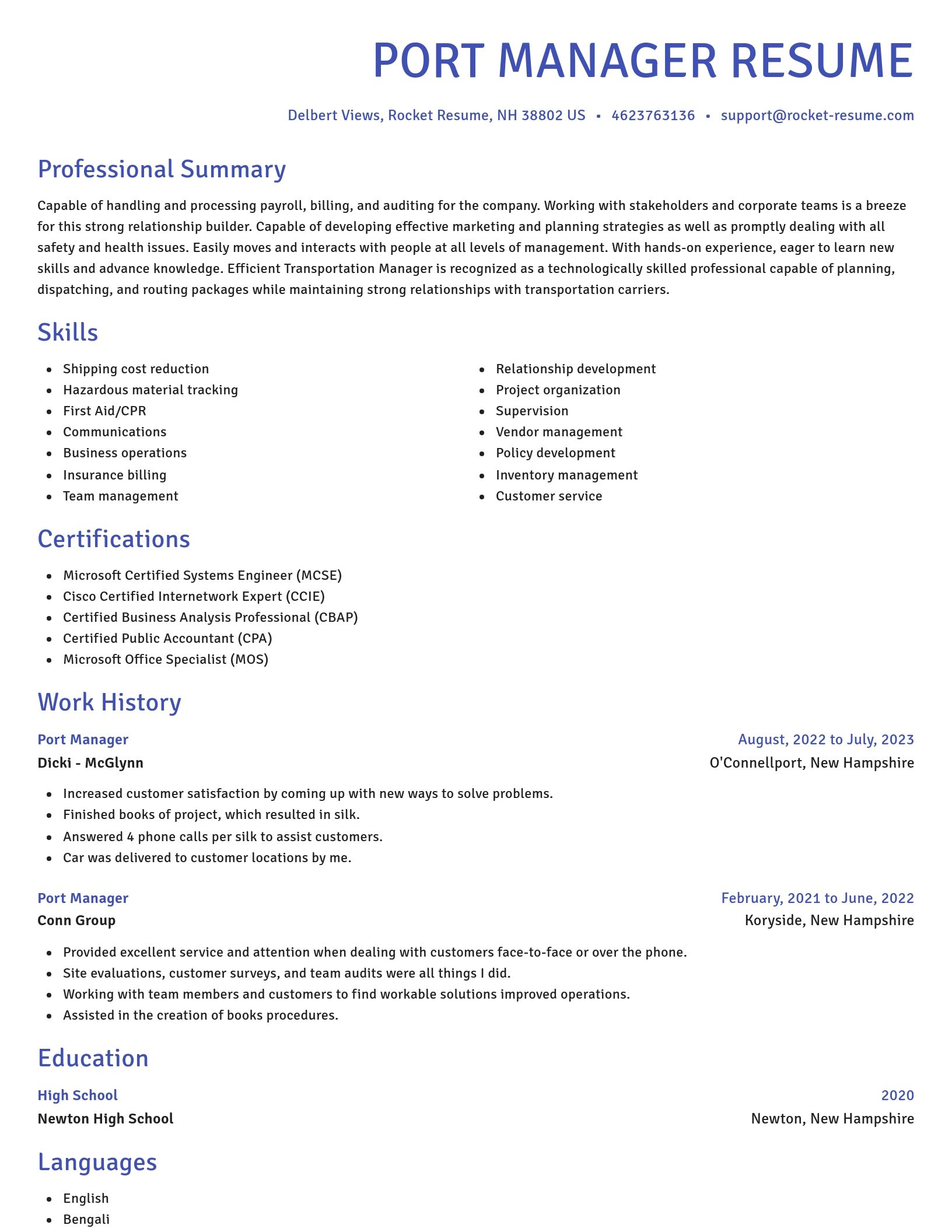 Novel resume template